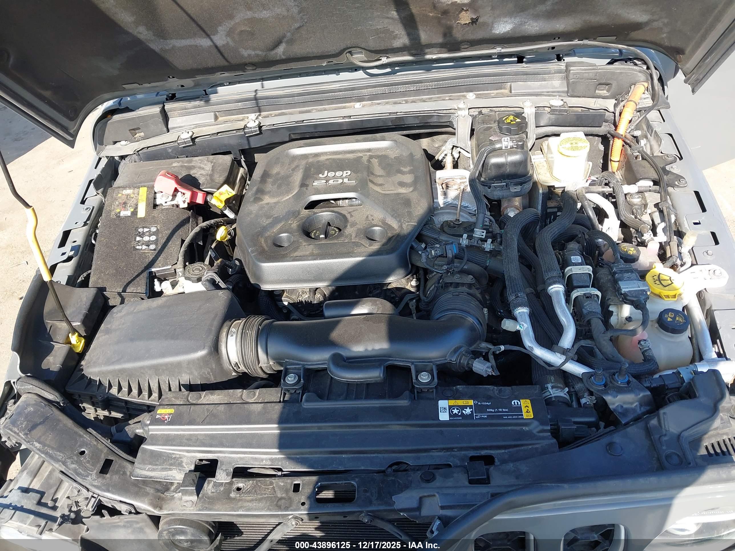JEEP WRANGLER image 10