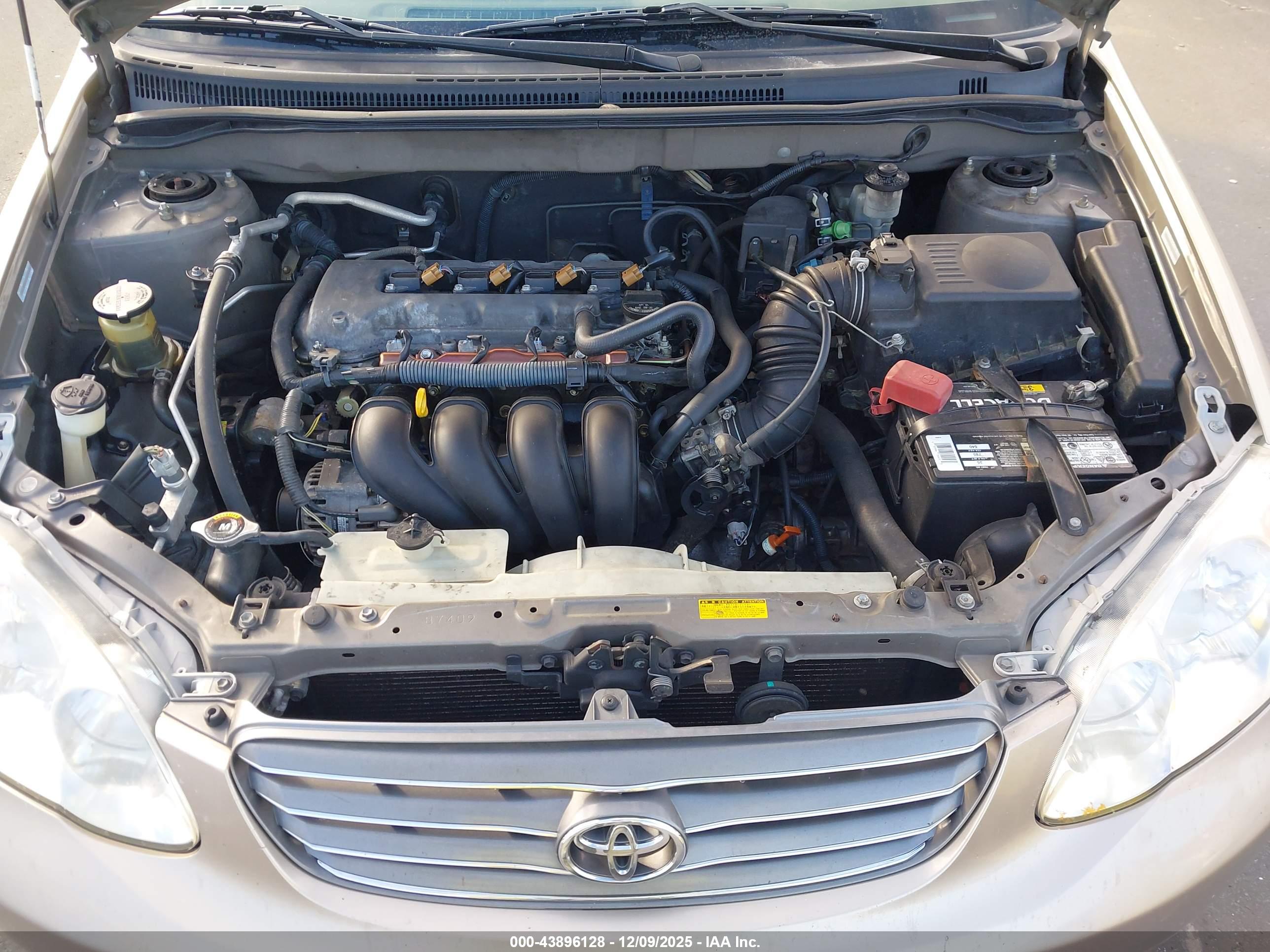 TOYOTA COROLLA image 10