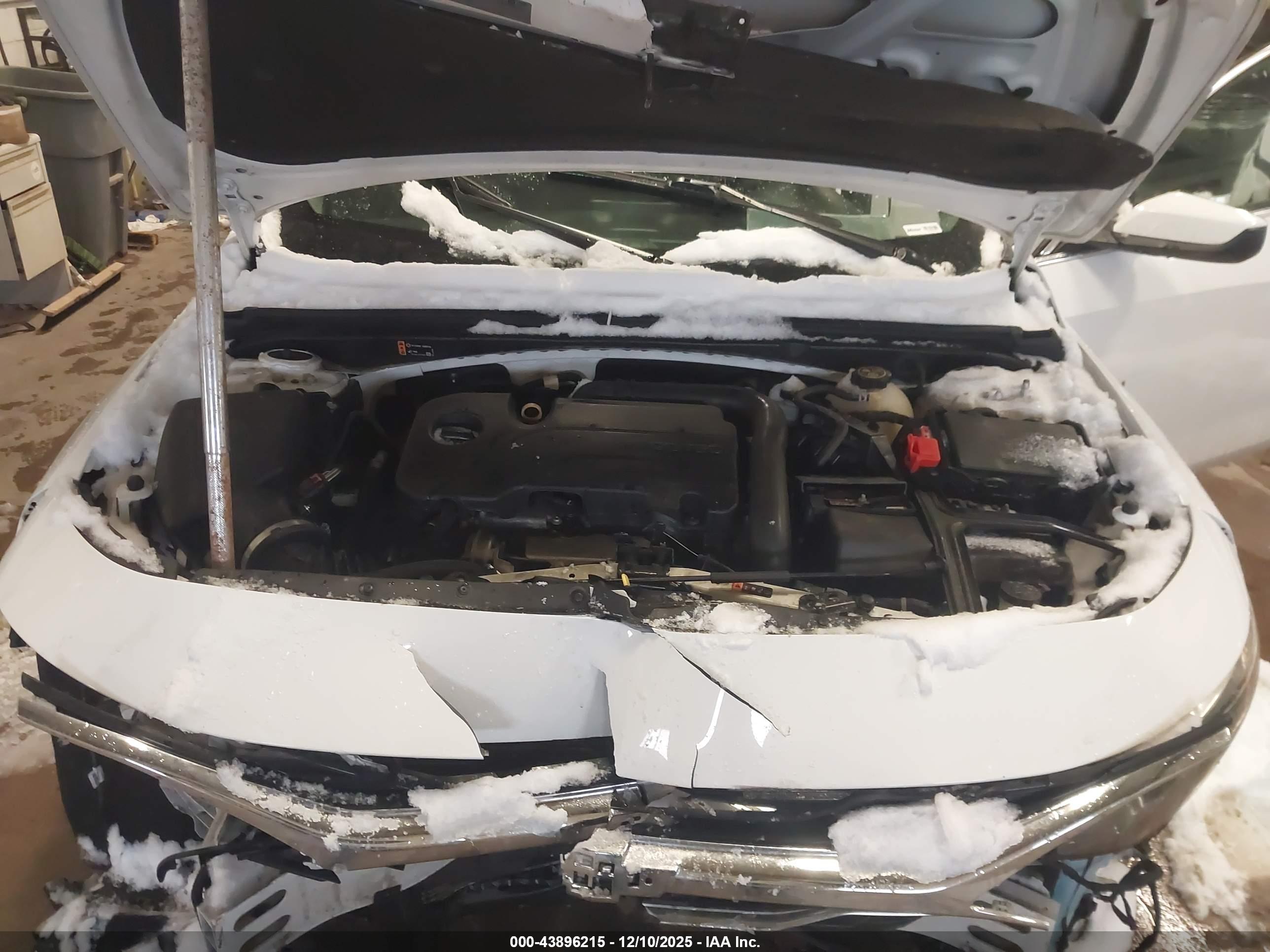 CHEVROLET MALIBU image 10