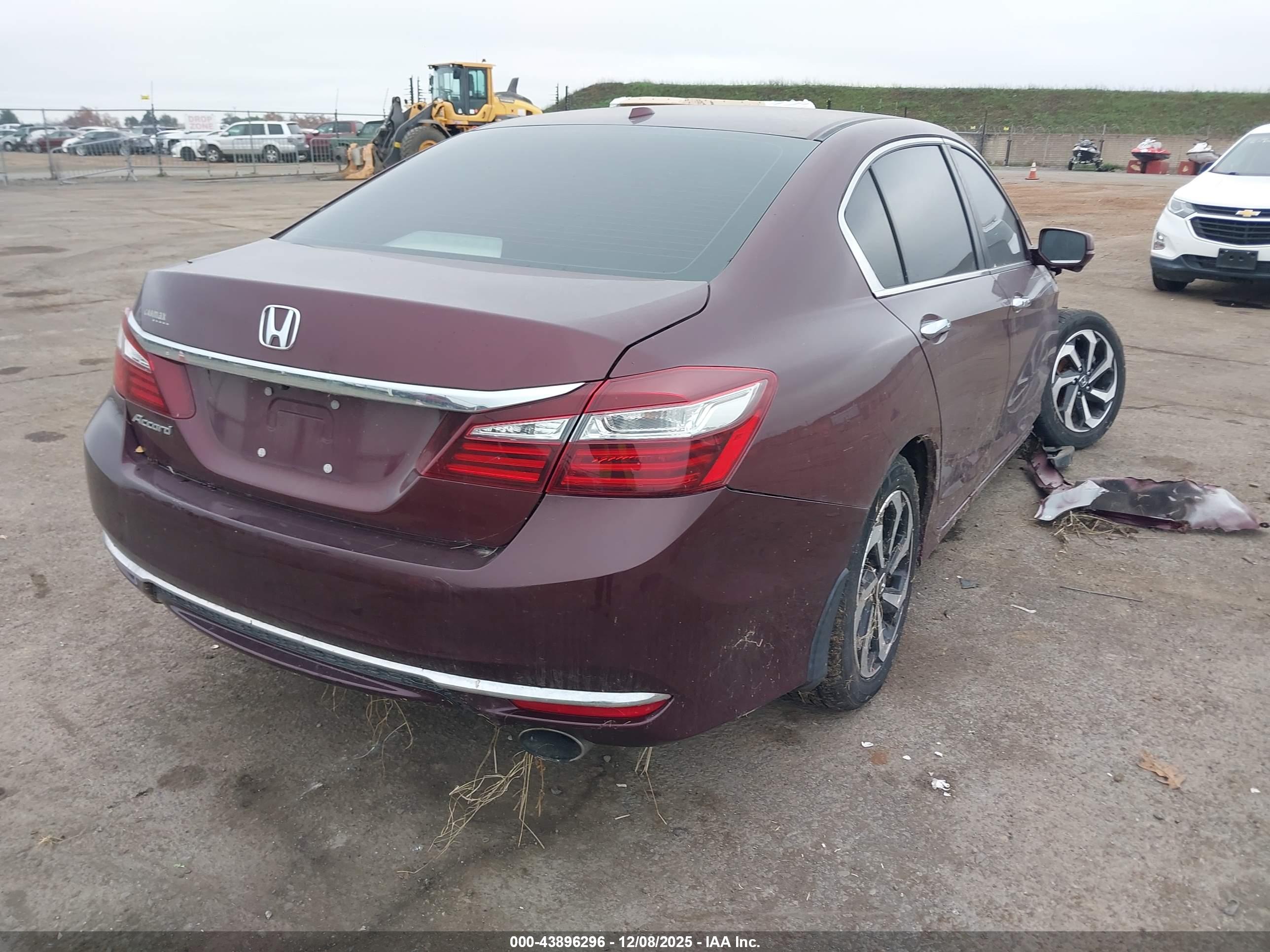 HONDA ACCORD image 4