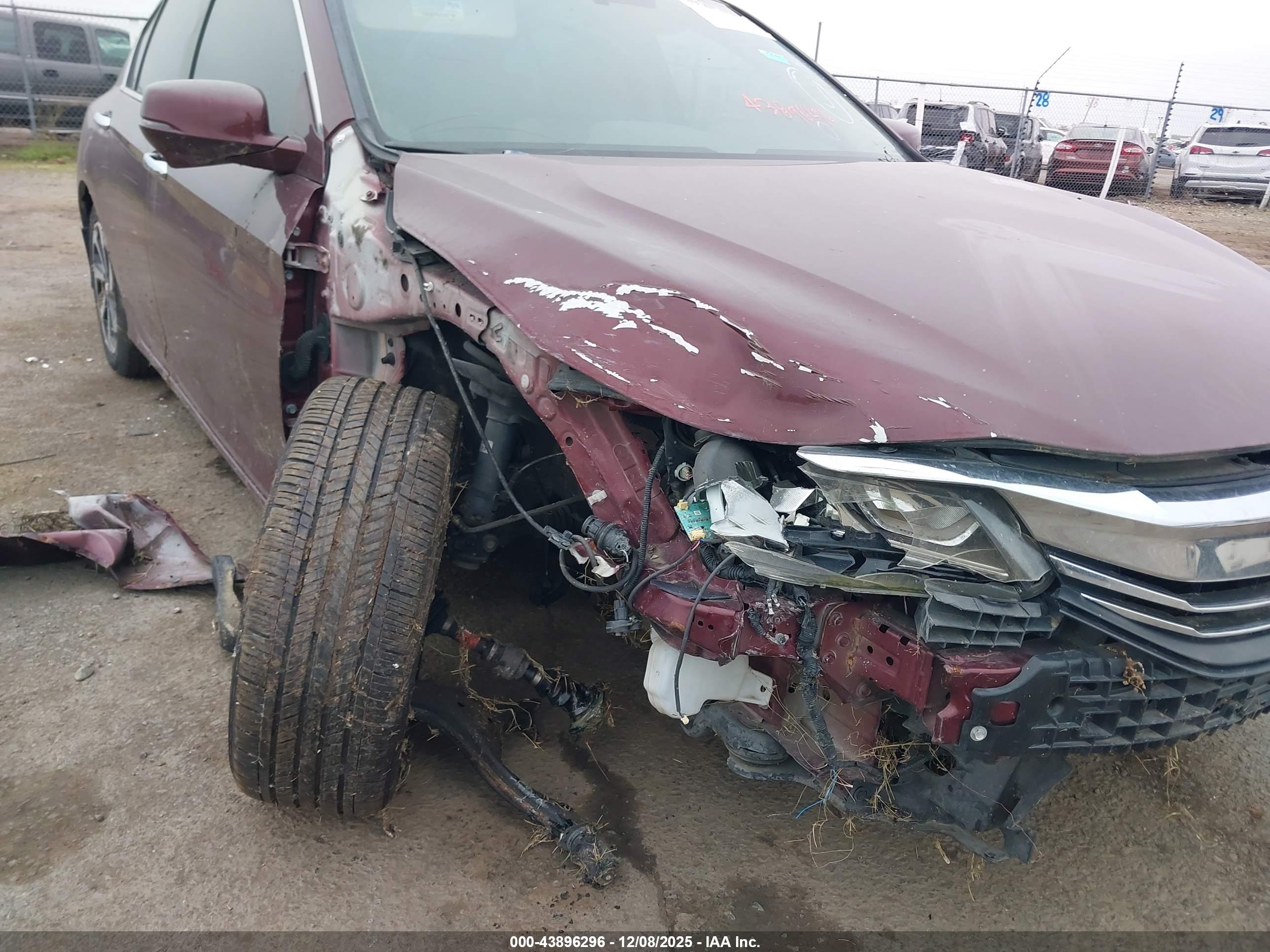 HONDA ACCORD image 6