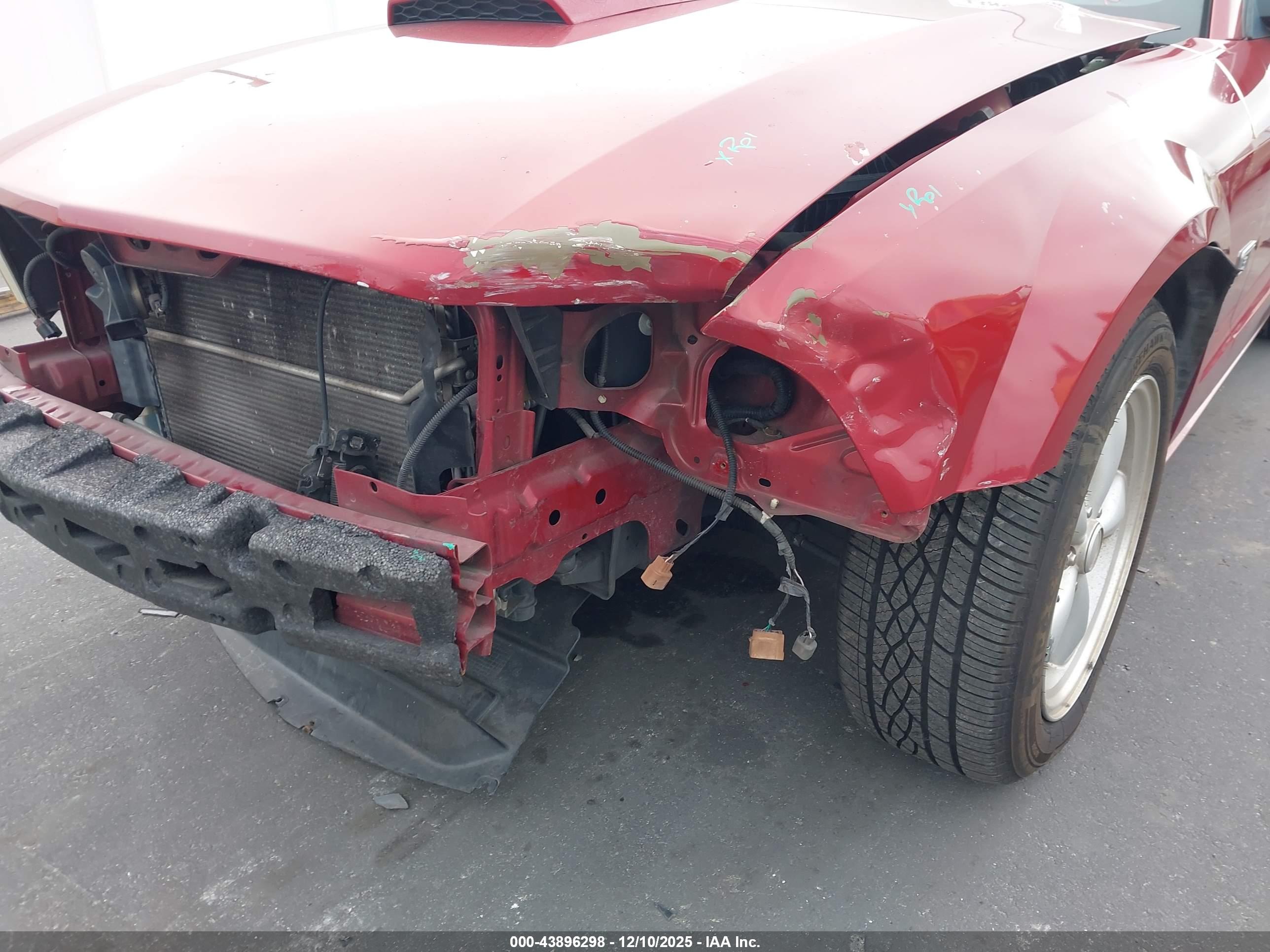 FORD MUSTANG image 6