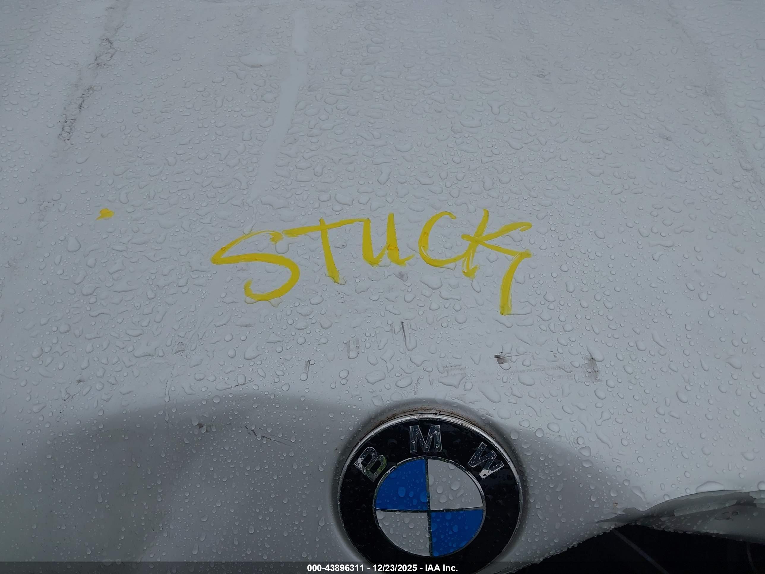 BMW X7 image 10