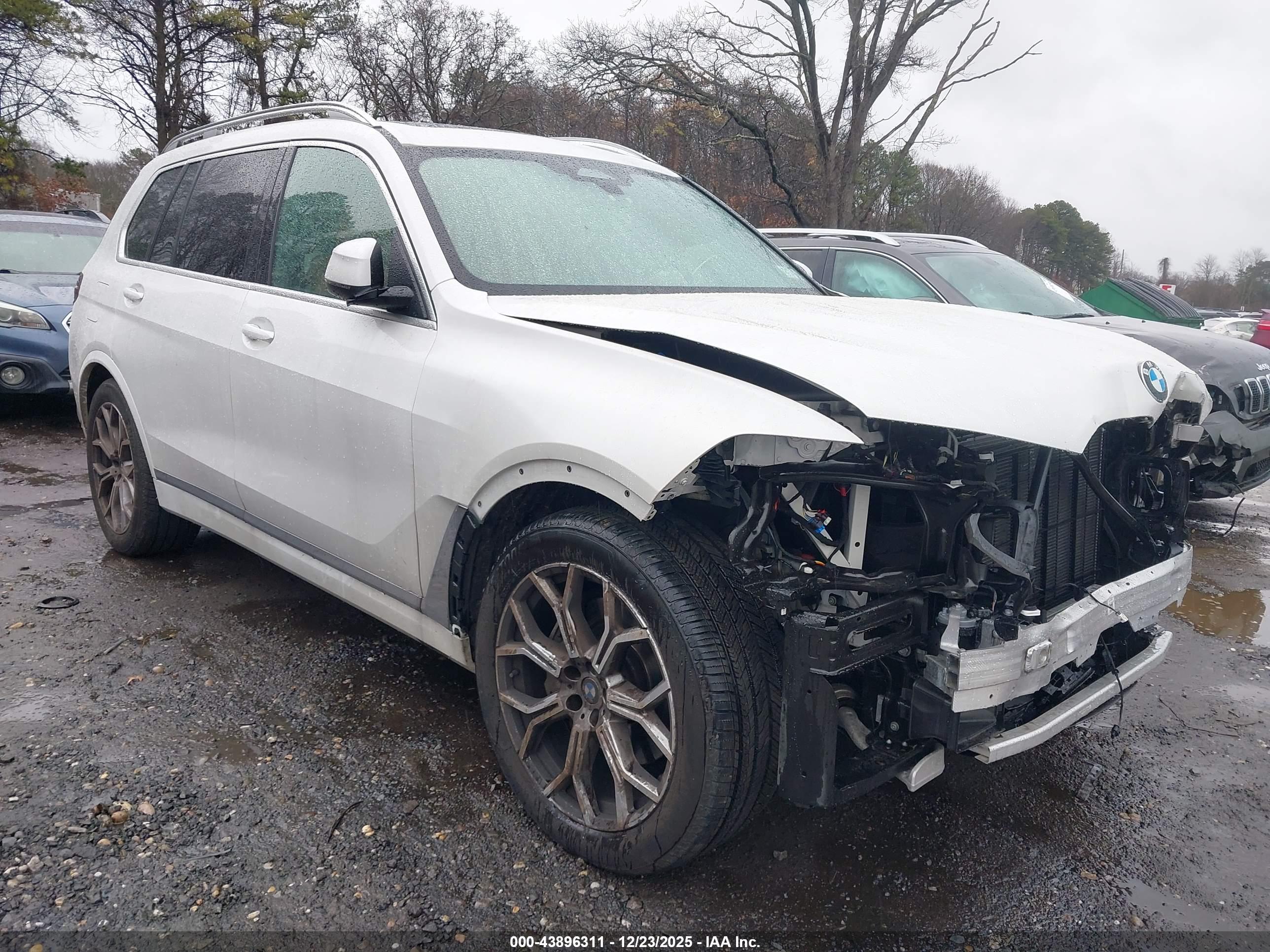 BMW X7 image 6