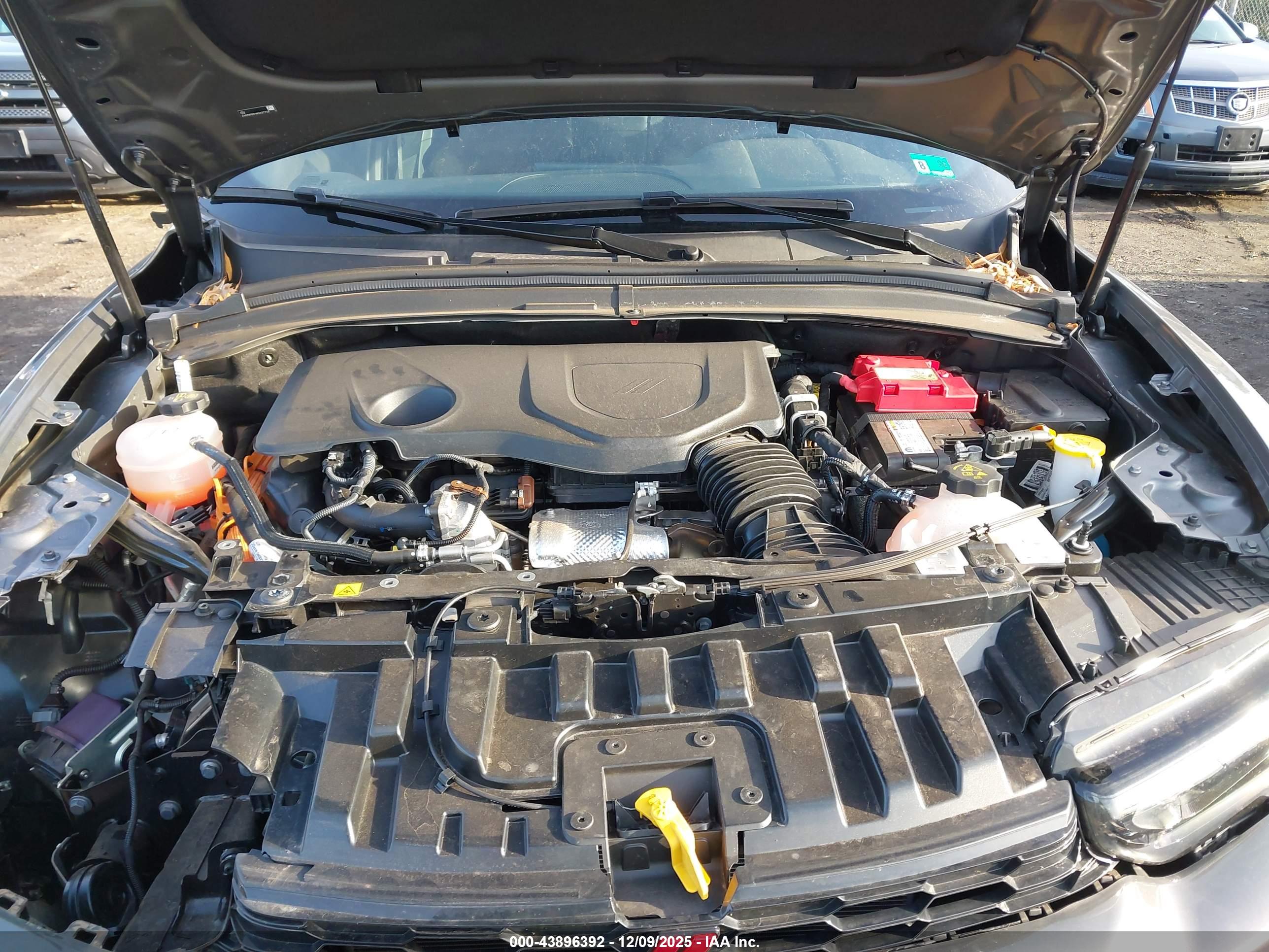 DODGE HORNET image 10