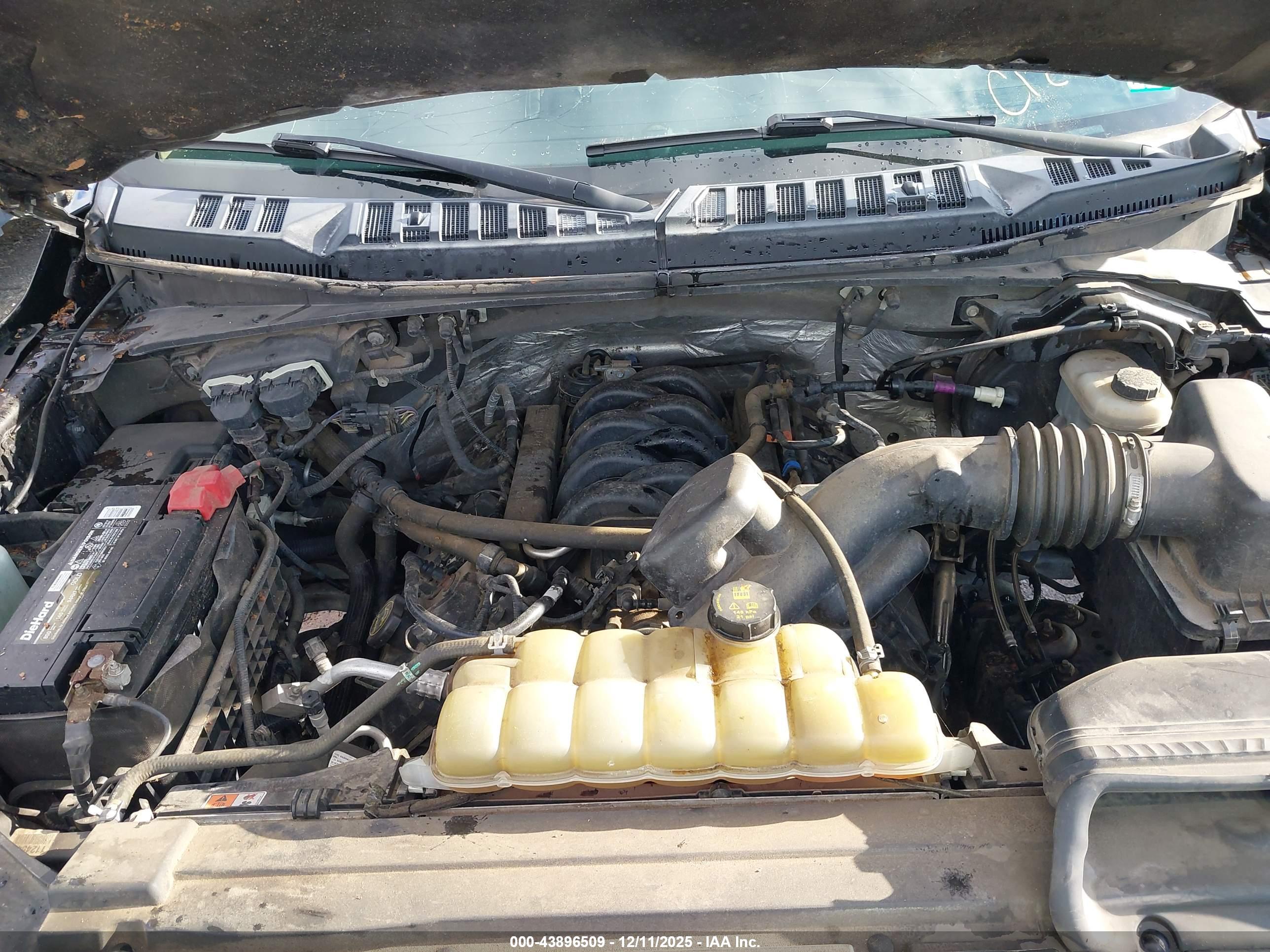 FORD F-150 image 10