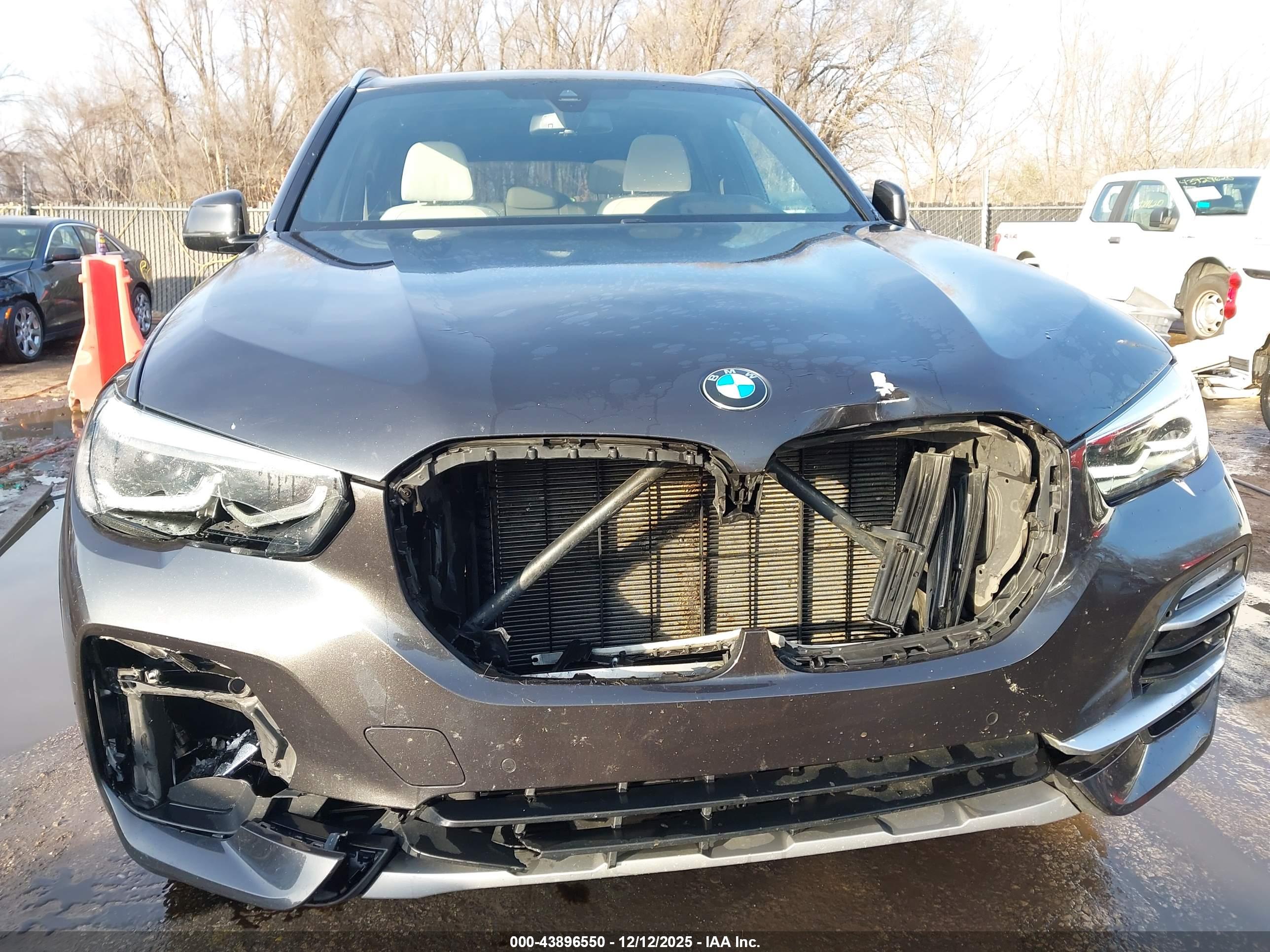 BMW X5 image 6
