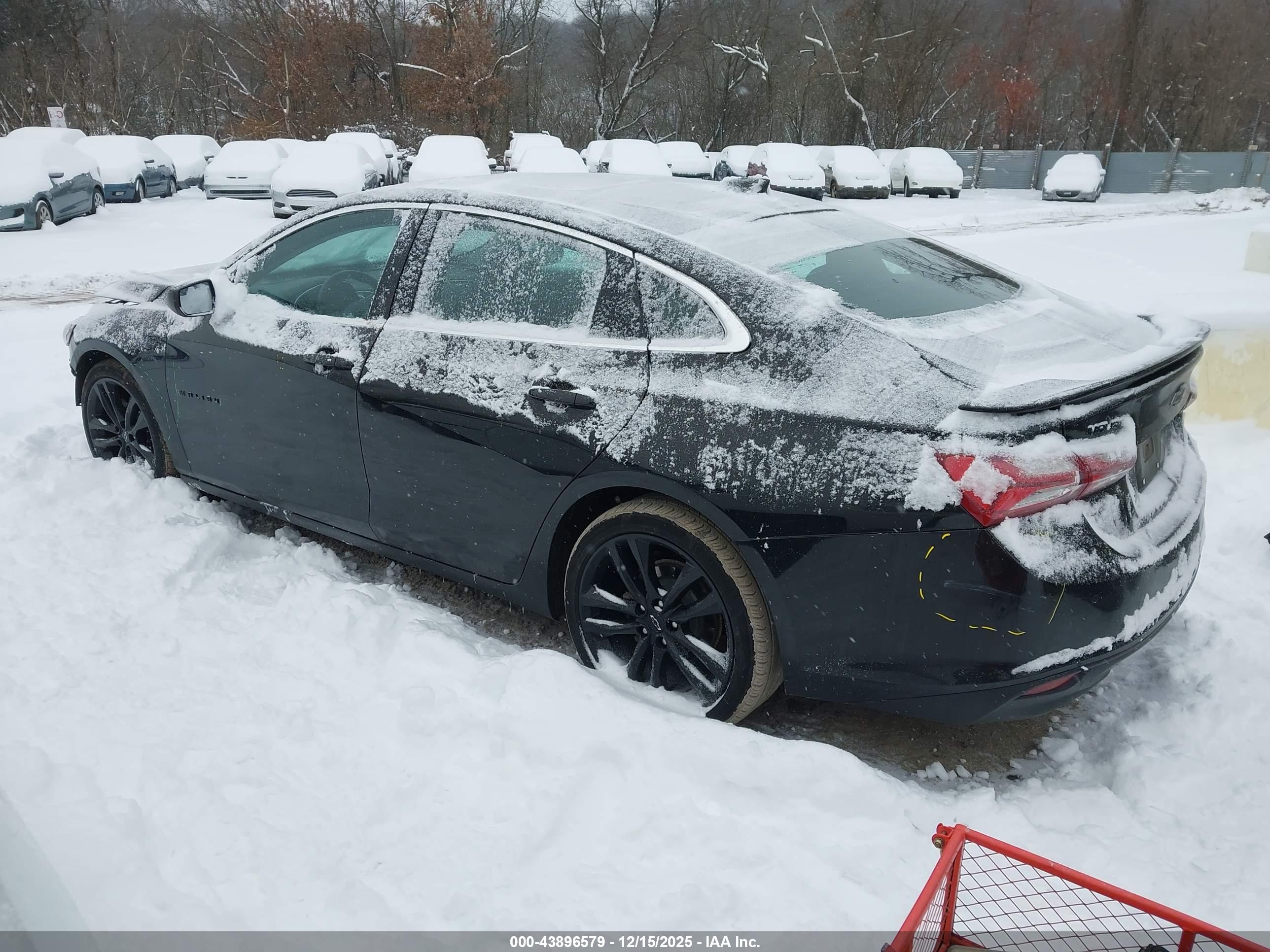 CHEVROLET MALIBU image 3