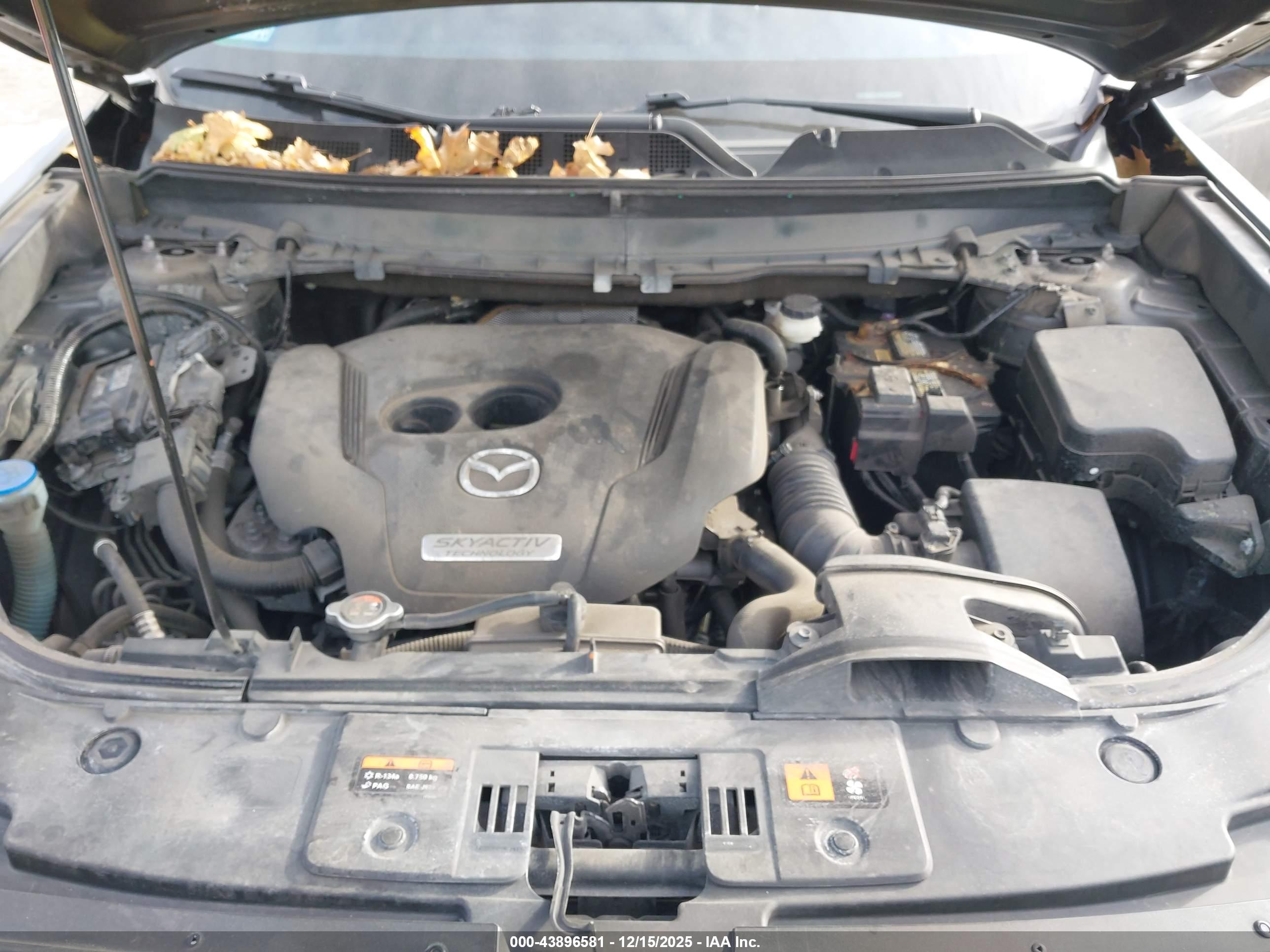 MAZDA CX-9 image 10