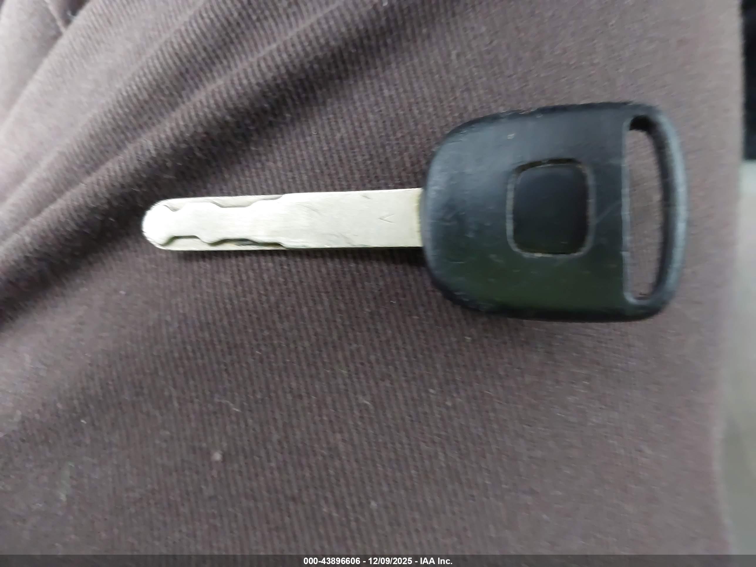 HONDA ELEMENT image 11