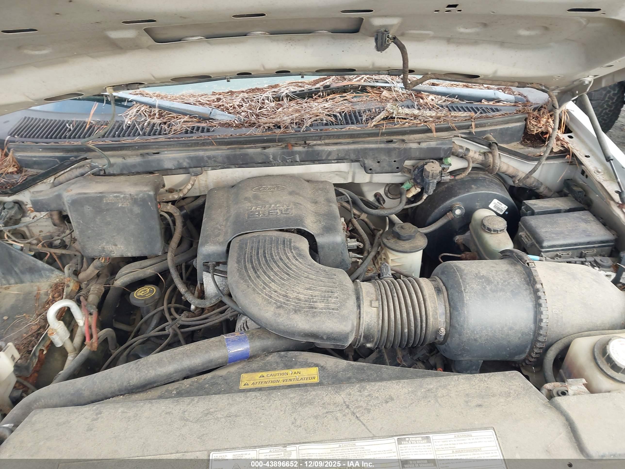 FORD EXPEDITION image 10
