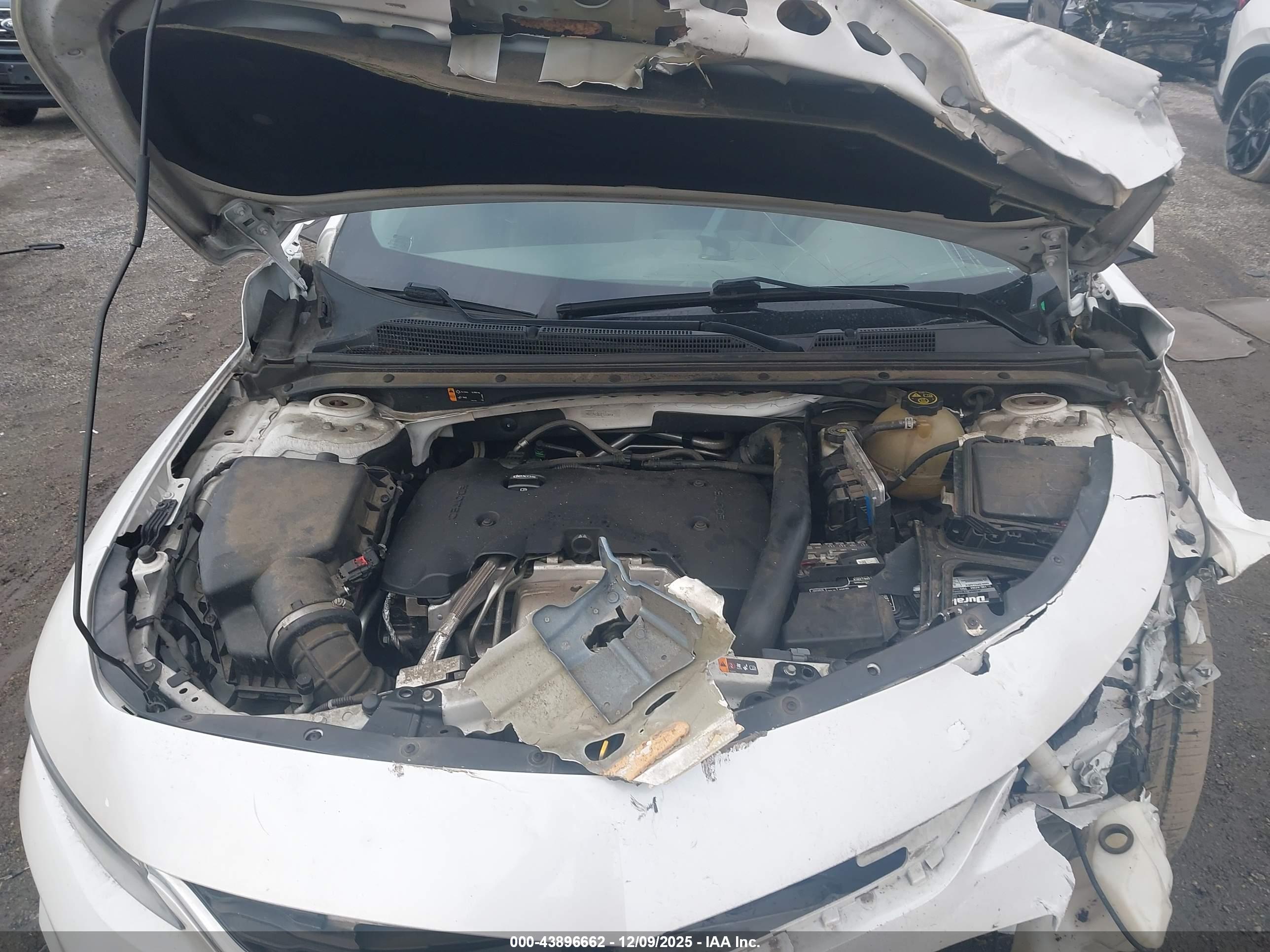 CHEVROLET MALIBU image 10