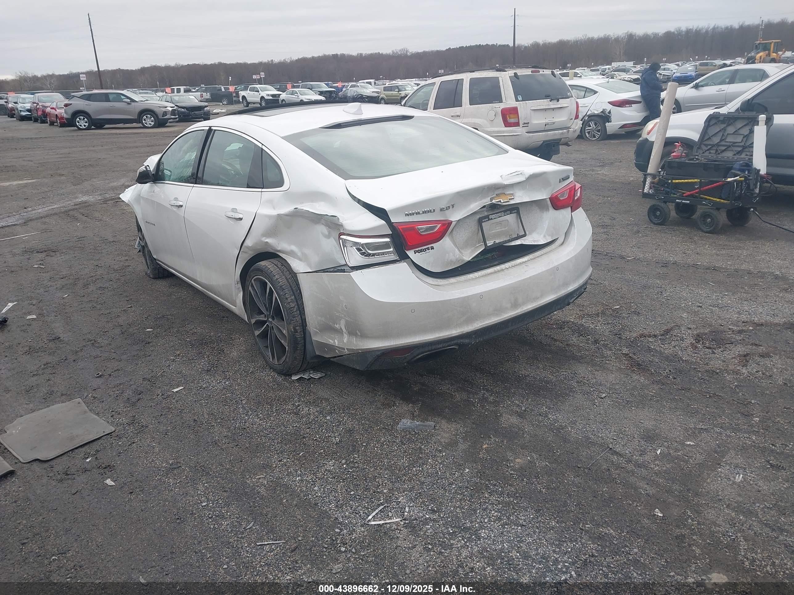 CHEVROLET MALIBU image 3