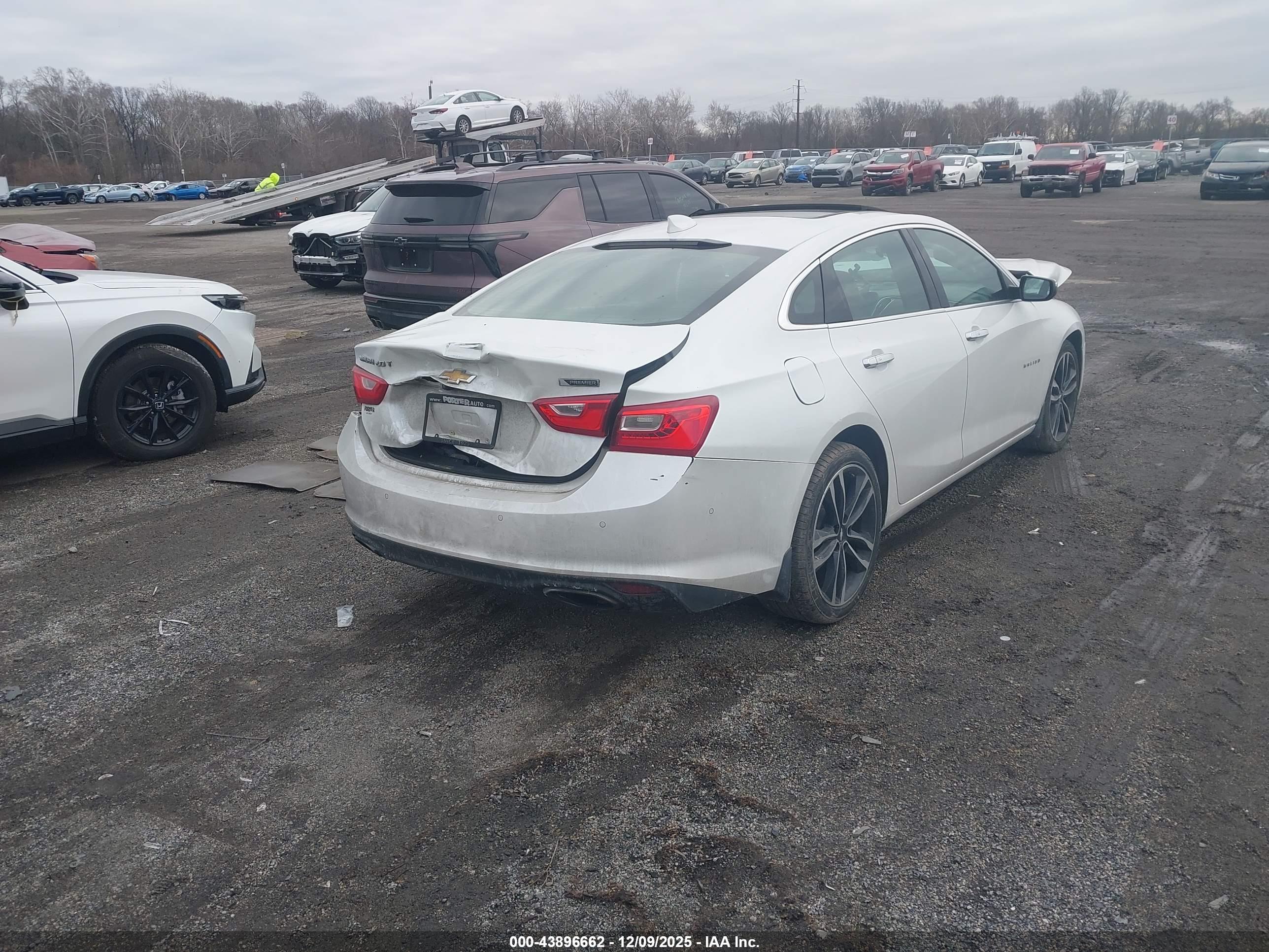 CHEVROLET MALIBU image 4