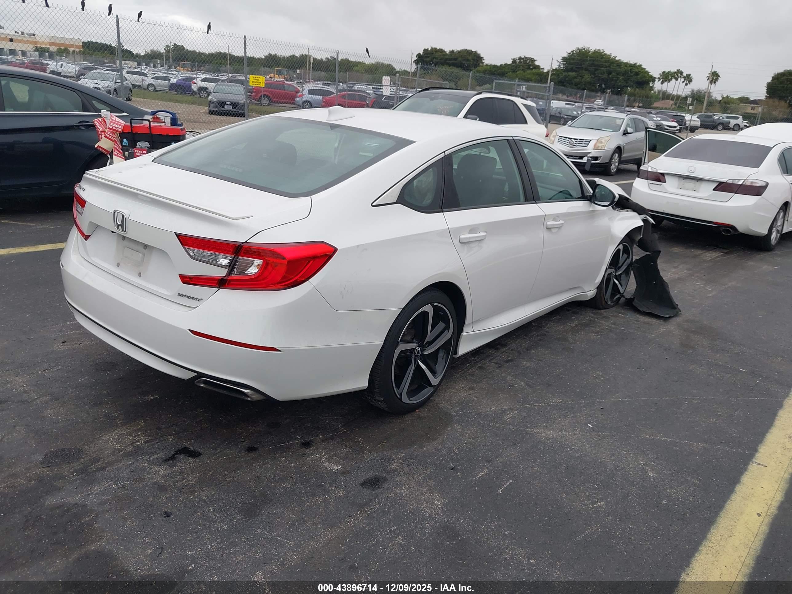 HONDA ACCORD image 4