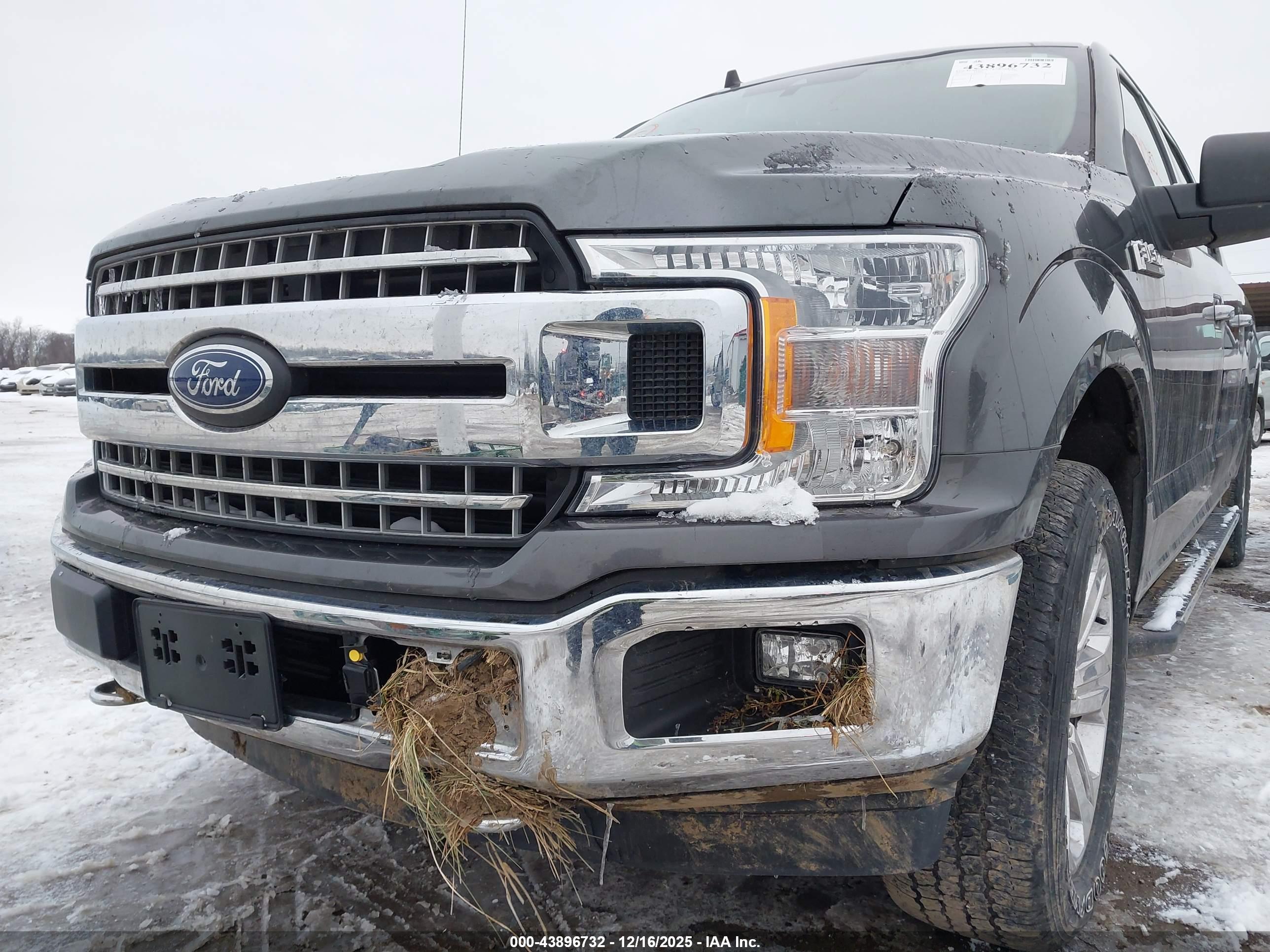 FORD F-150 image 6