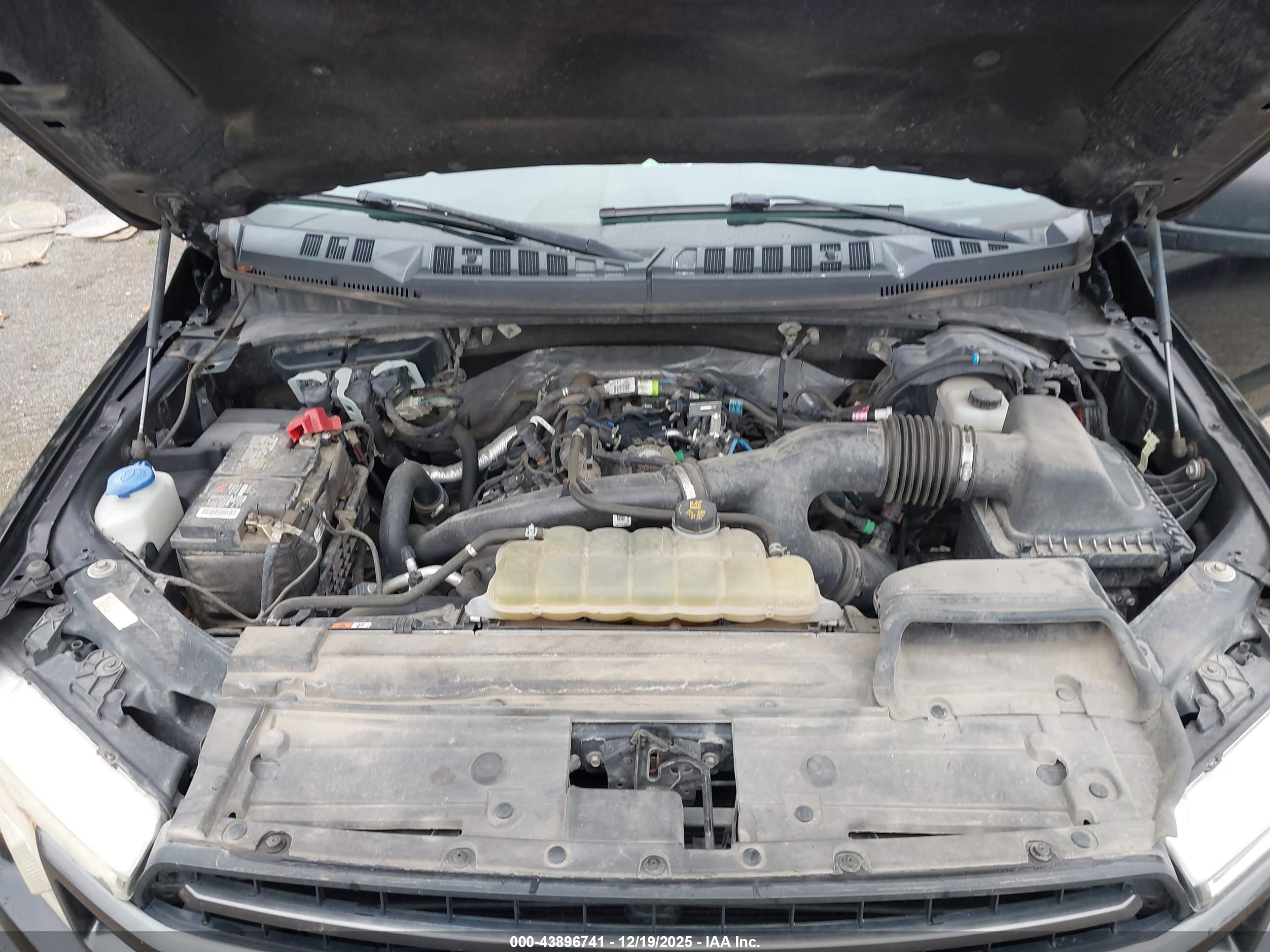 FORD F-150 image 10