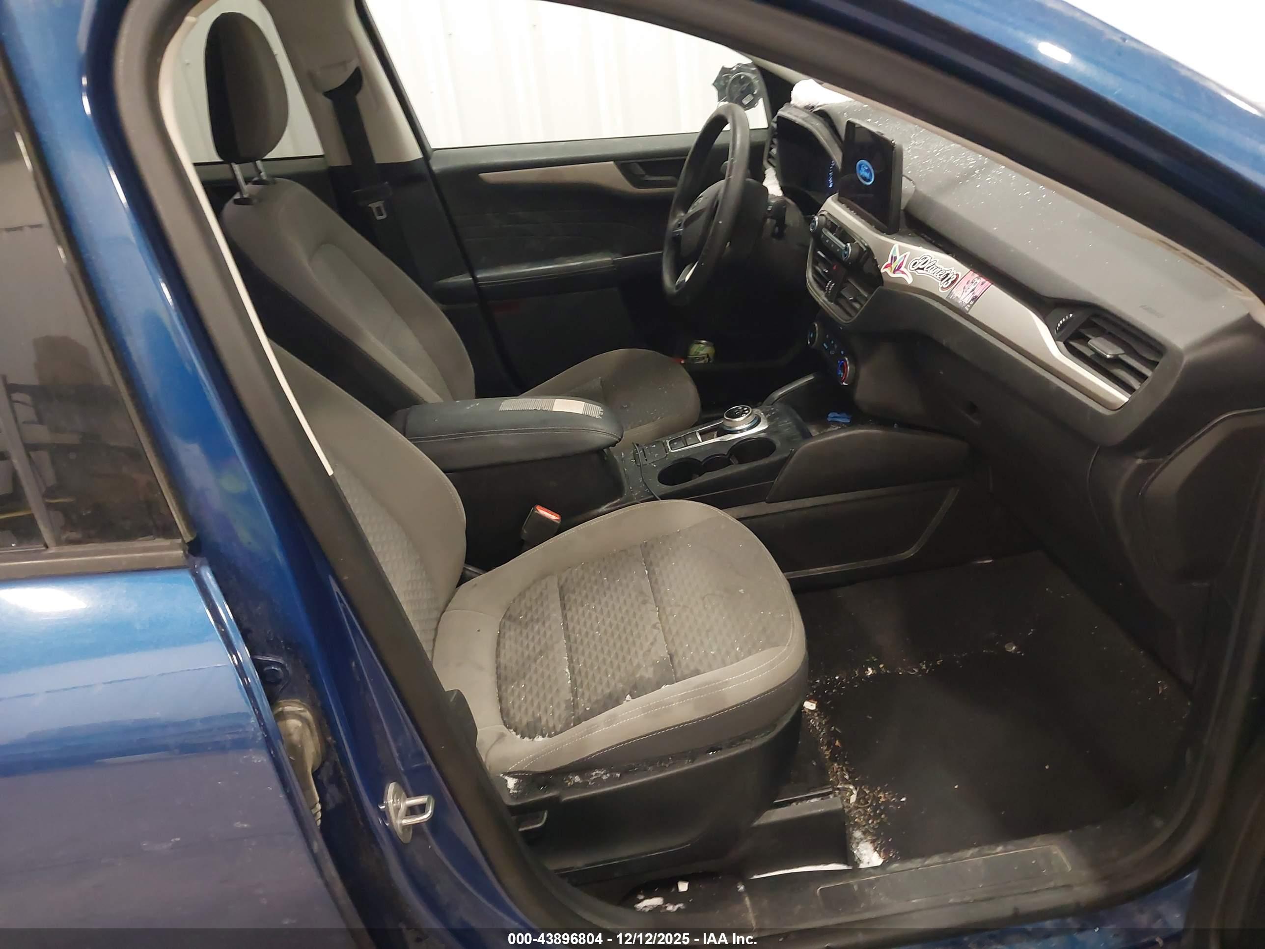 FORD ESCAPE image 5