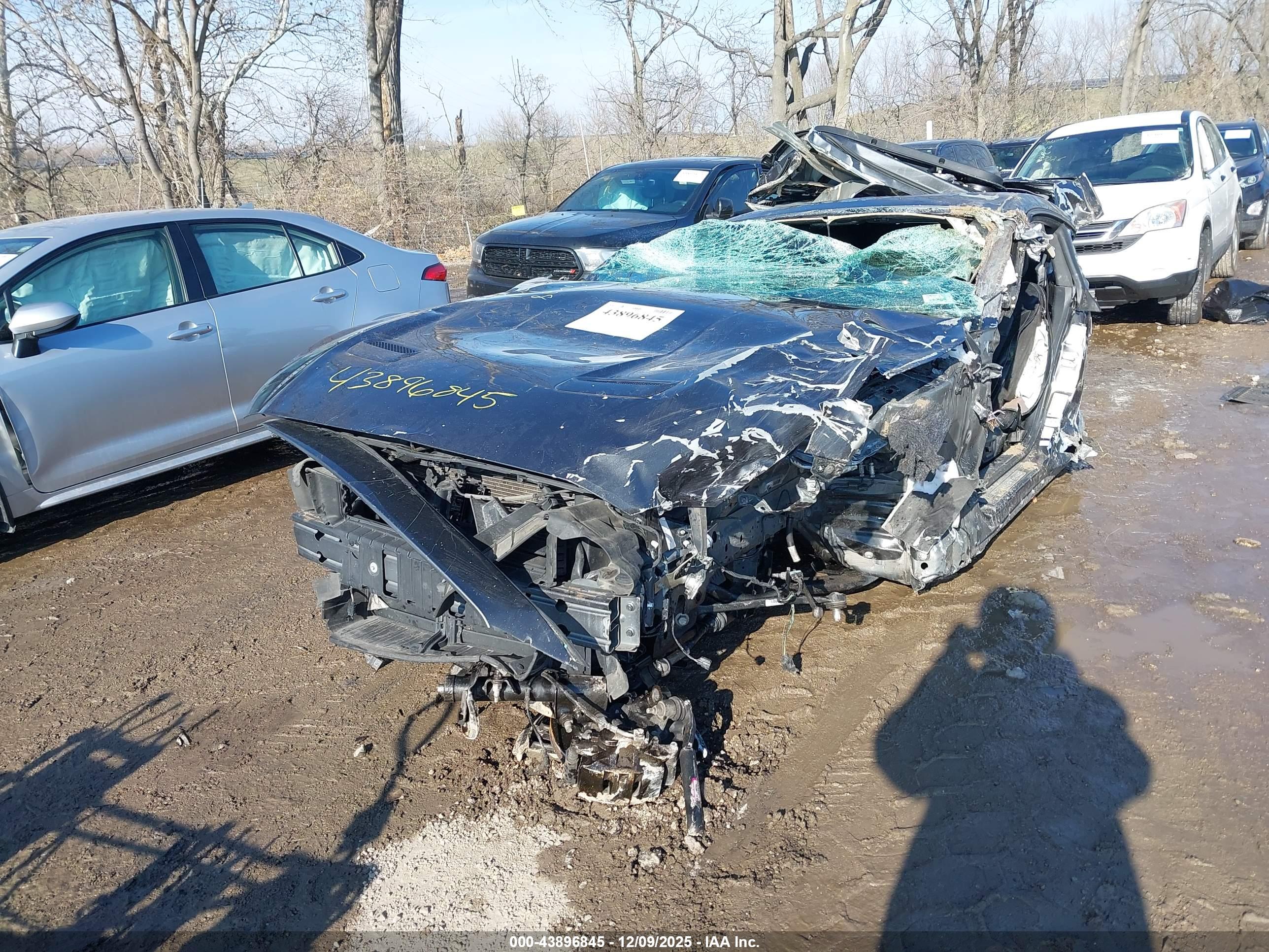 FORD MUSTANG image 2
