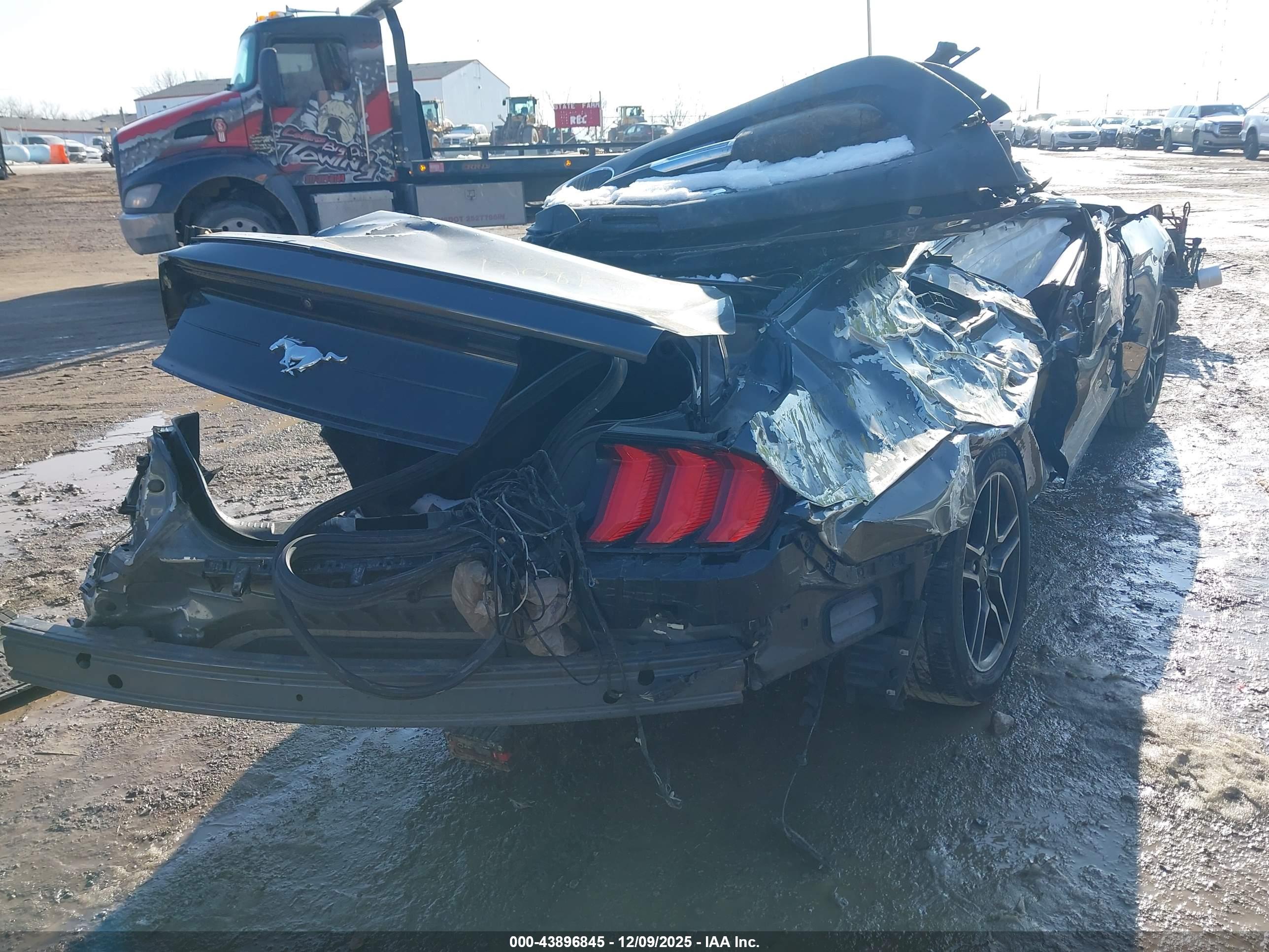 FORD MUSTANG image 4