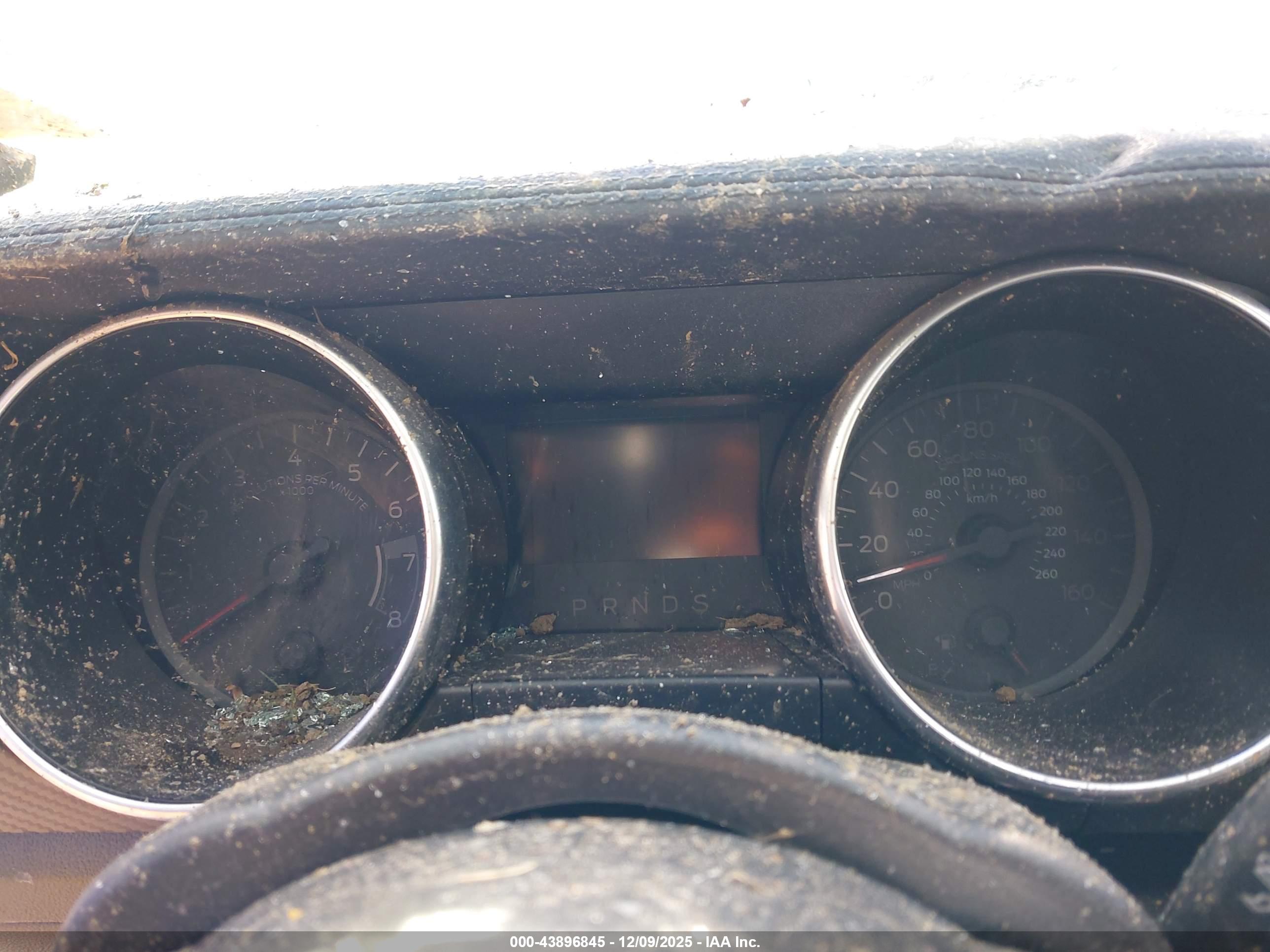FORD MUSTANG image 7