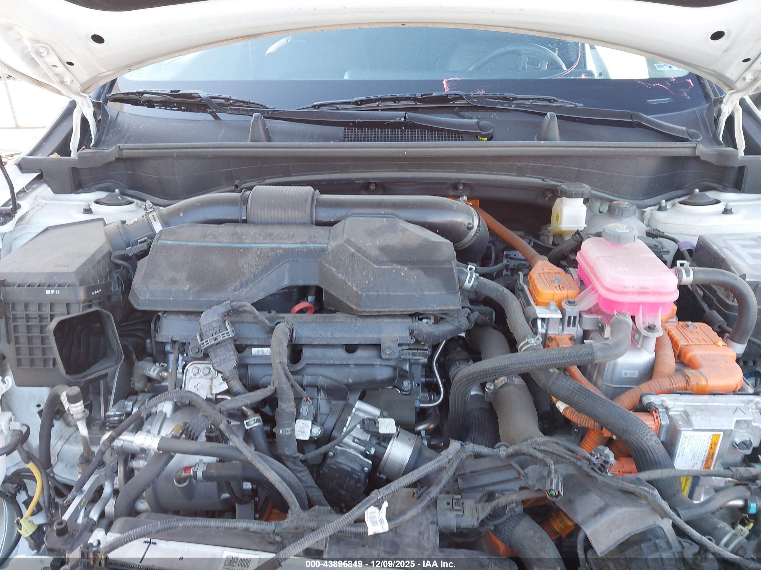 KIA SPORTAGE image 10