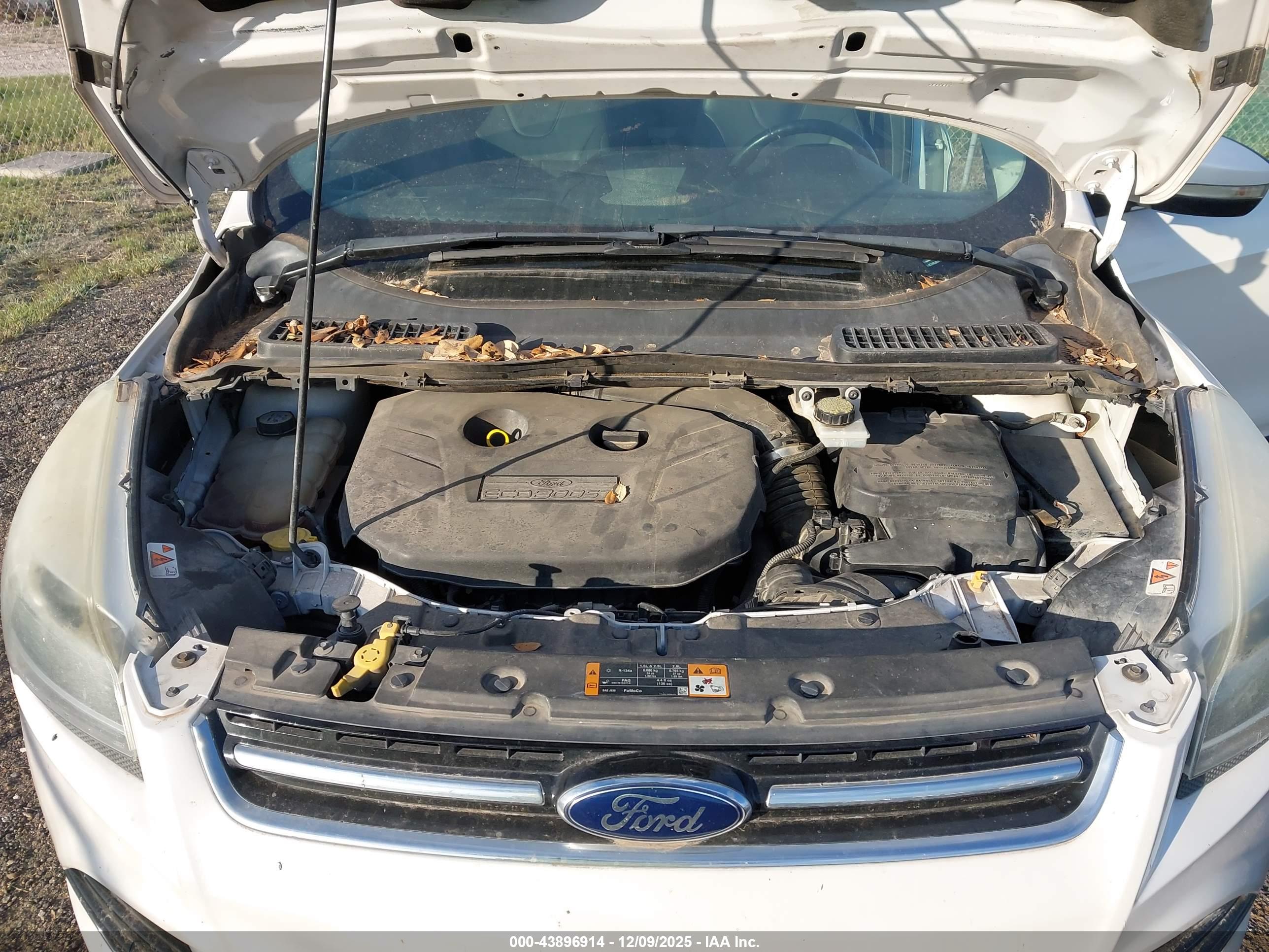 FORD ESCAPE image 10