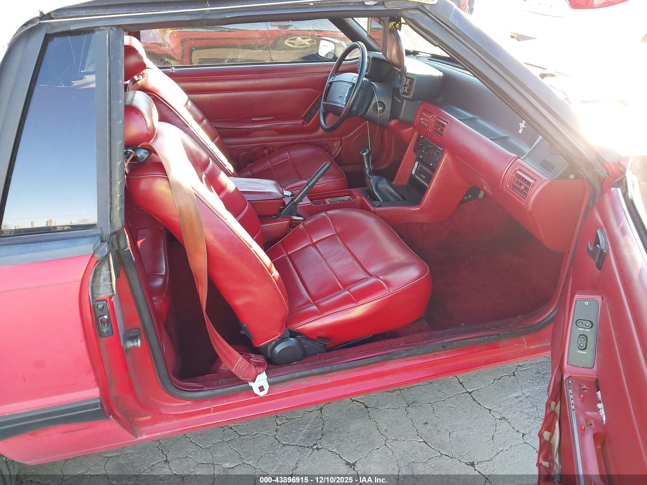 FORD MUSTANG image 5