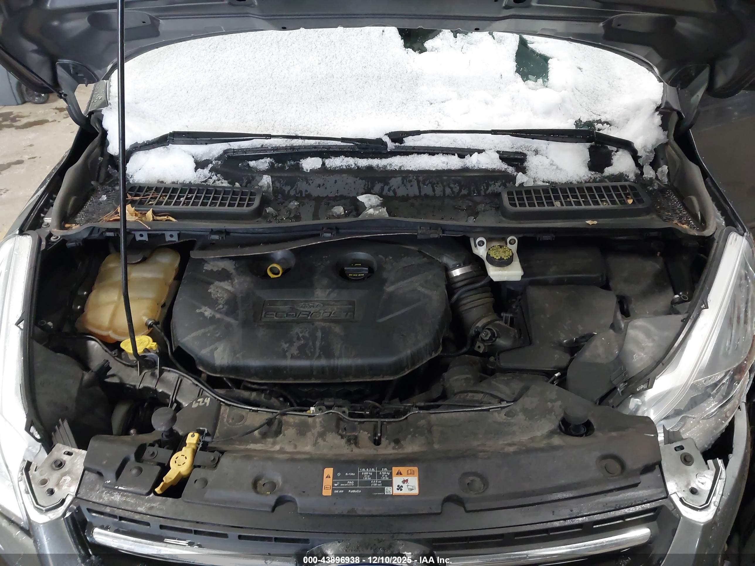 FORD ESCAPE image 10