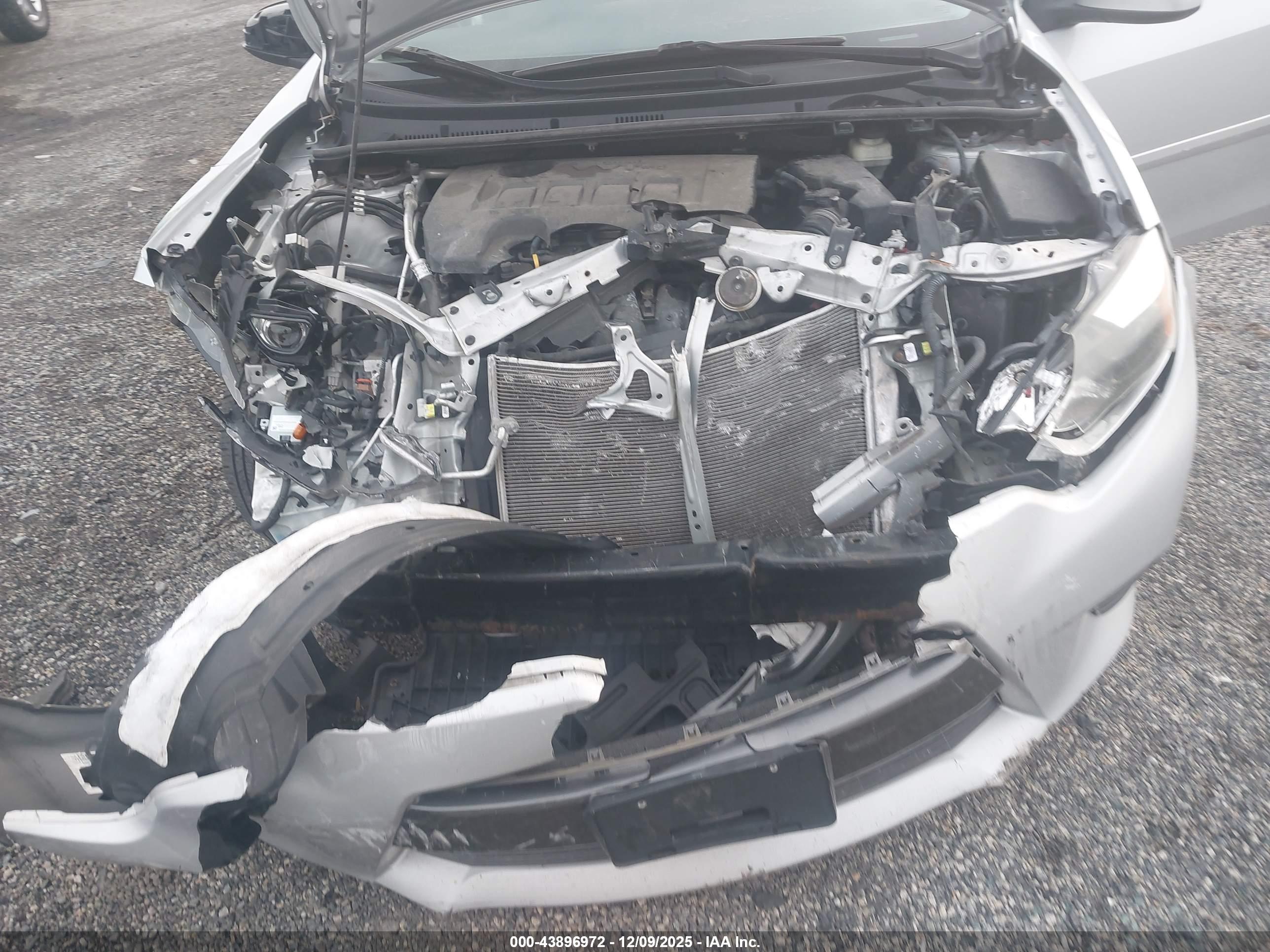 TOYOTA COROLLA image 10