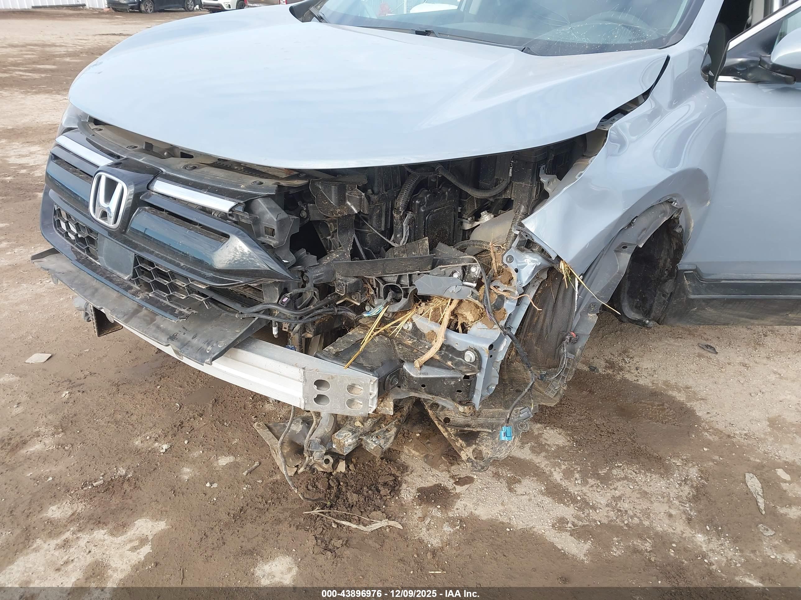HONDA CR-V image 6