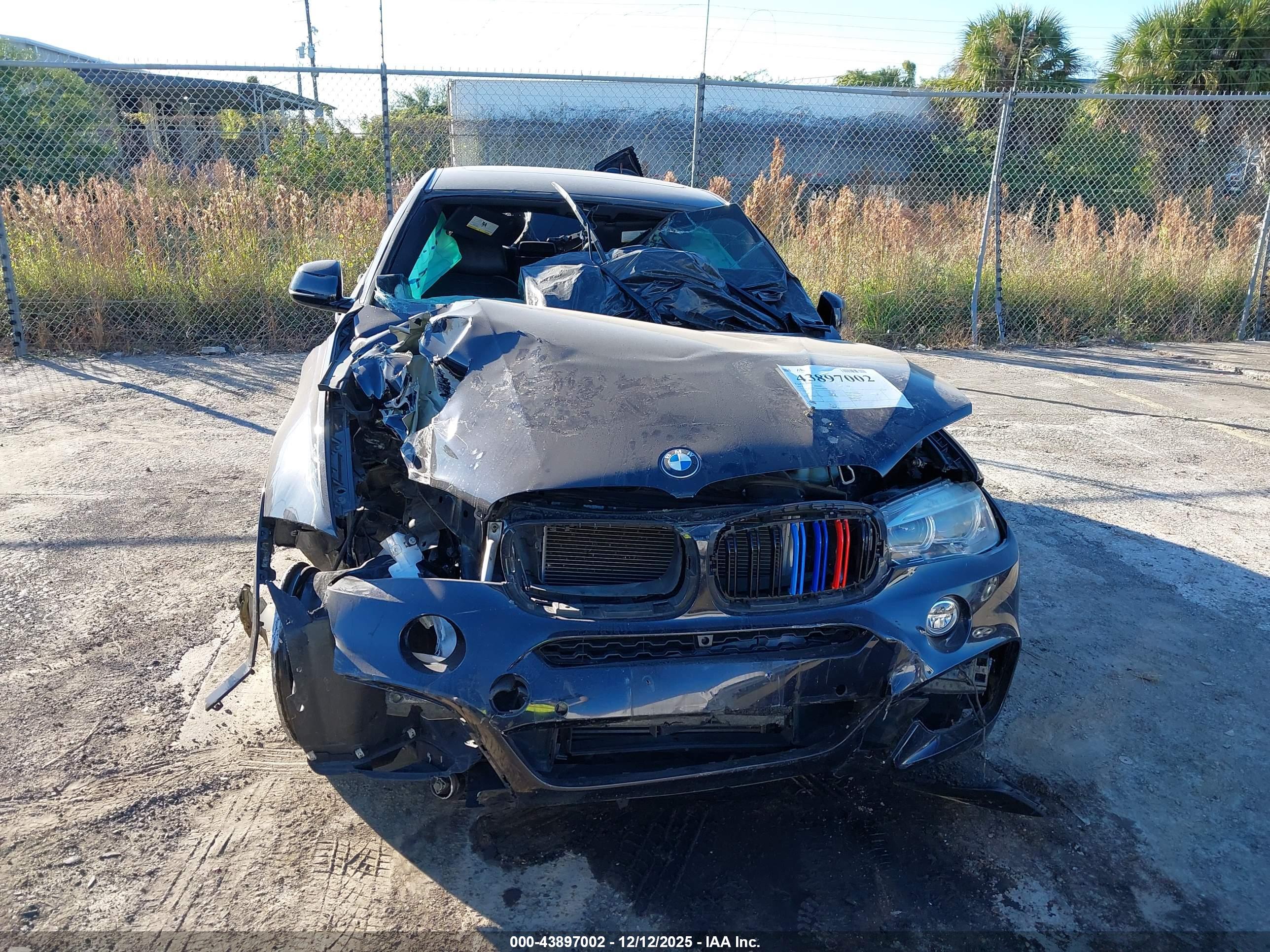 BMW X6 image 6