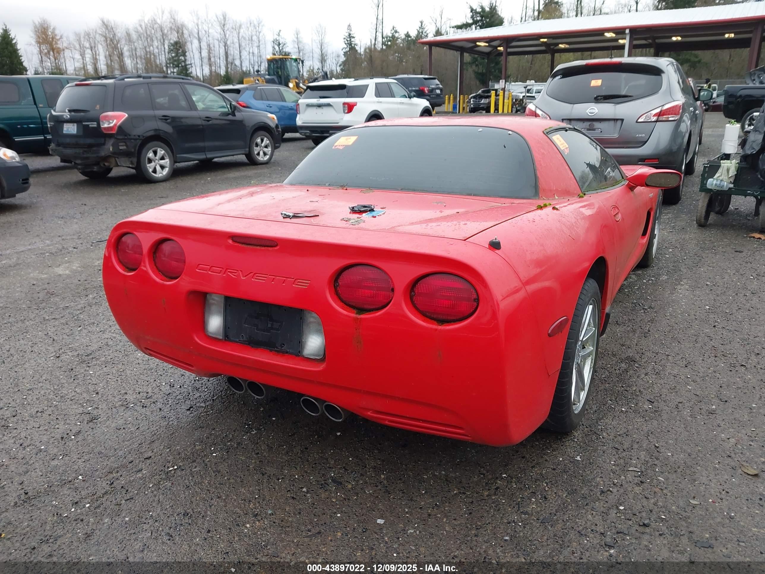 CHEVROLET CORVETTE image 4
