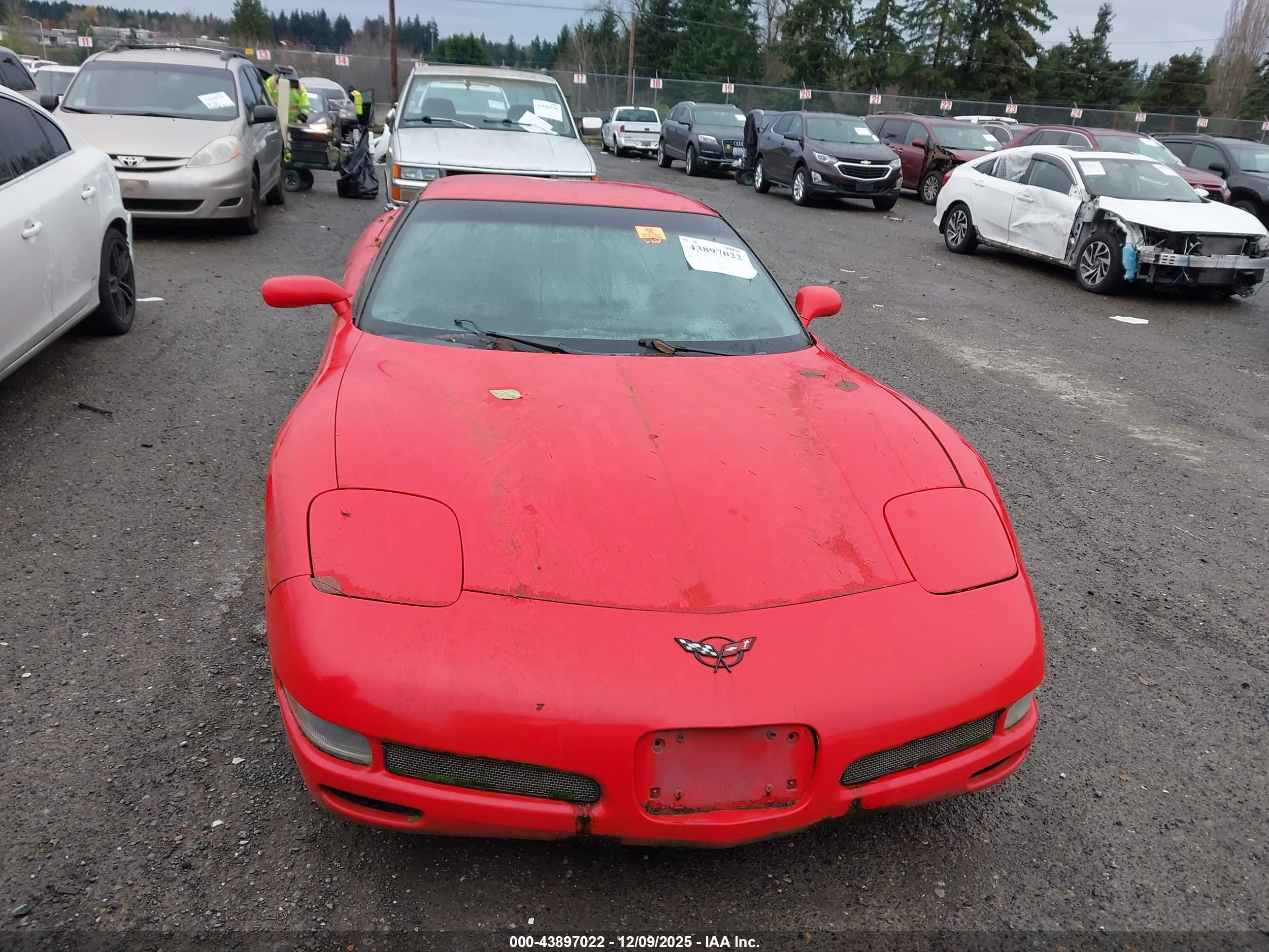 CHEVROLET CORVETTE image 6