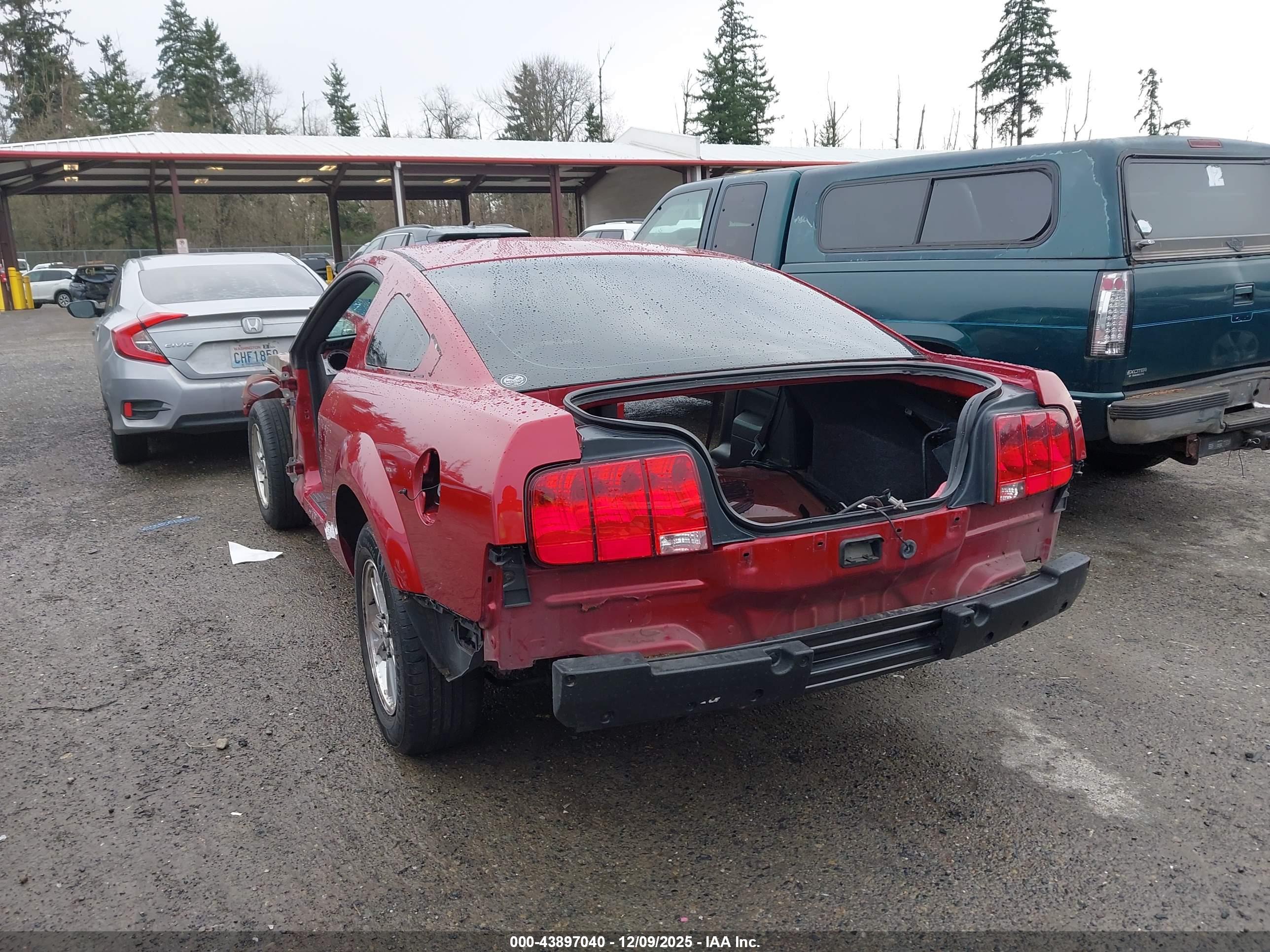 FORD MUSTANG image 3
