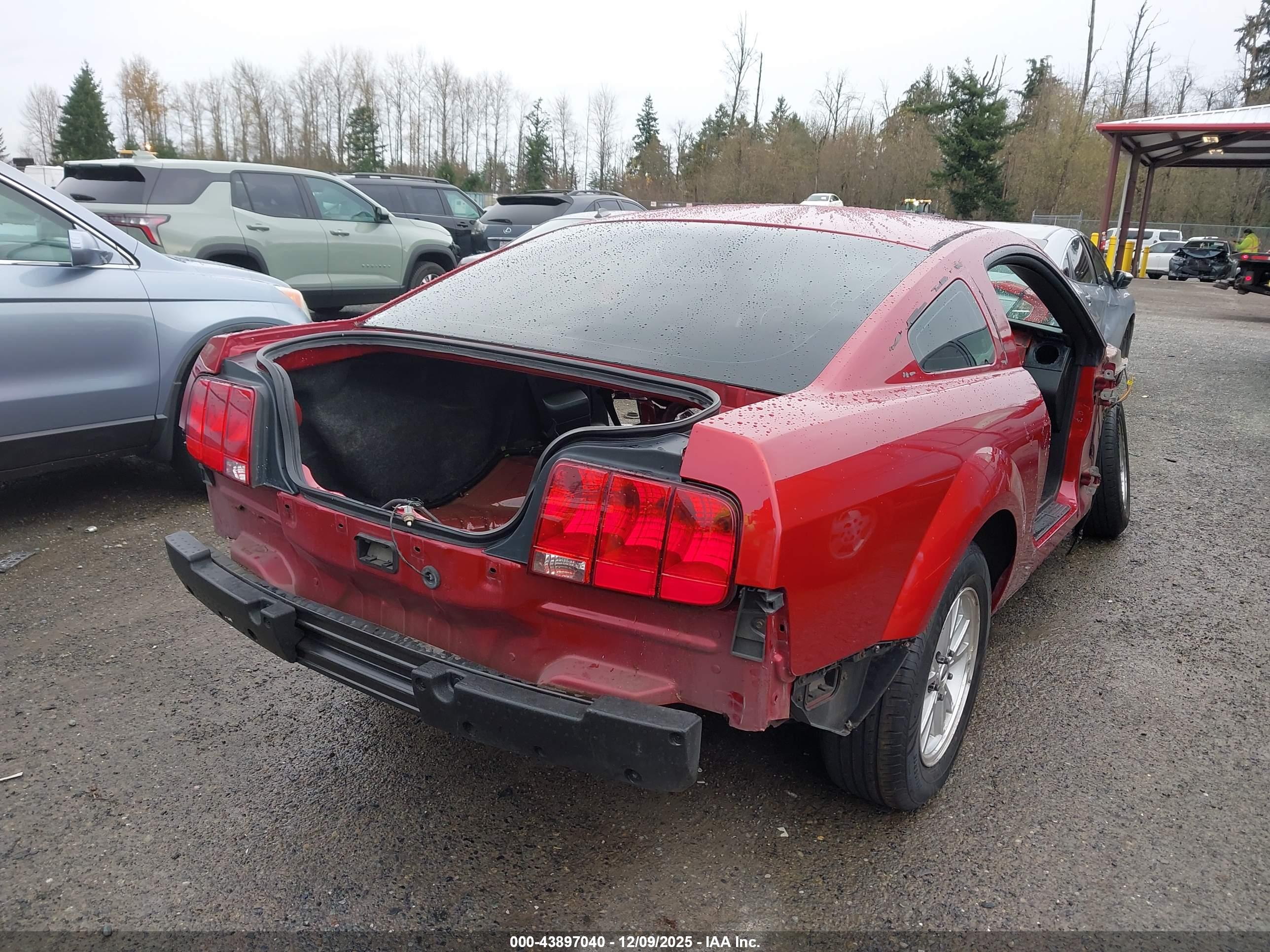 FORD MUSTANG image 4