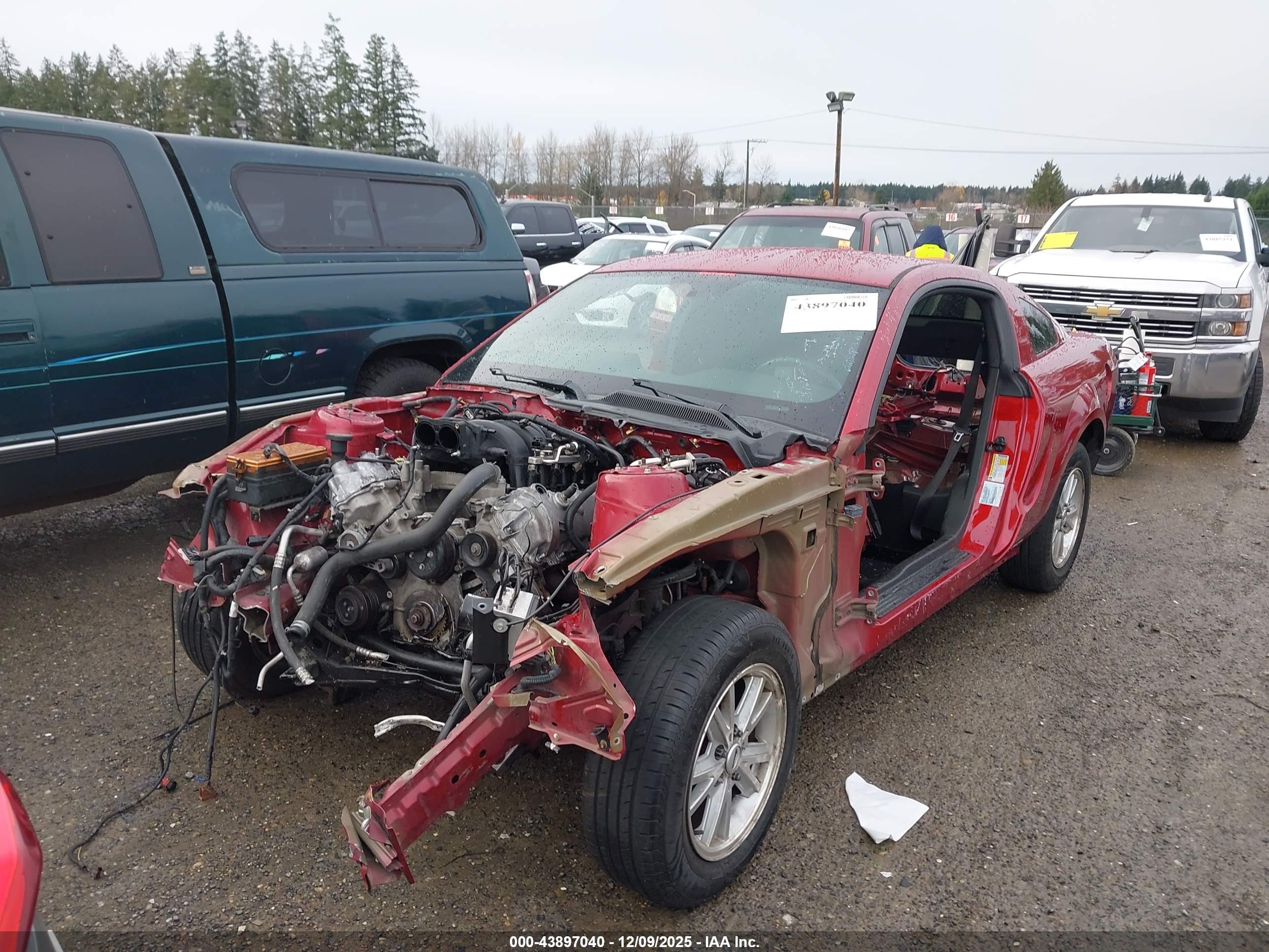 FORD MUSTANG image 6