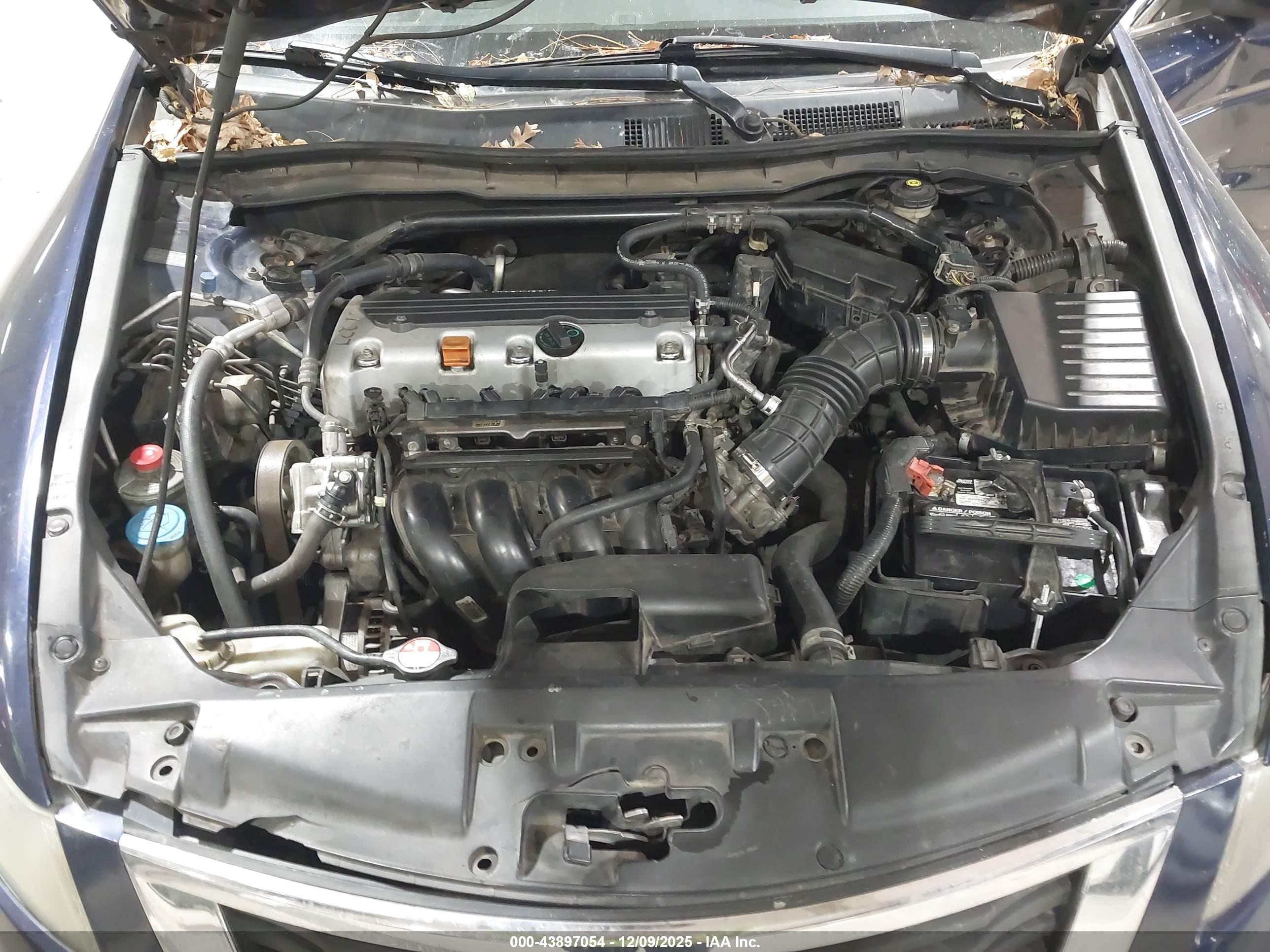 HONDA ACCORD image 10