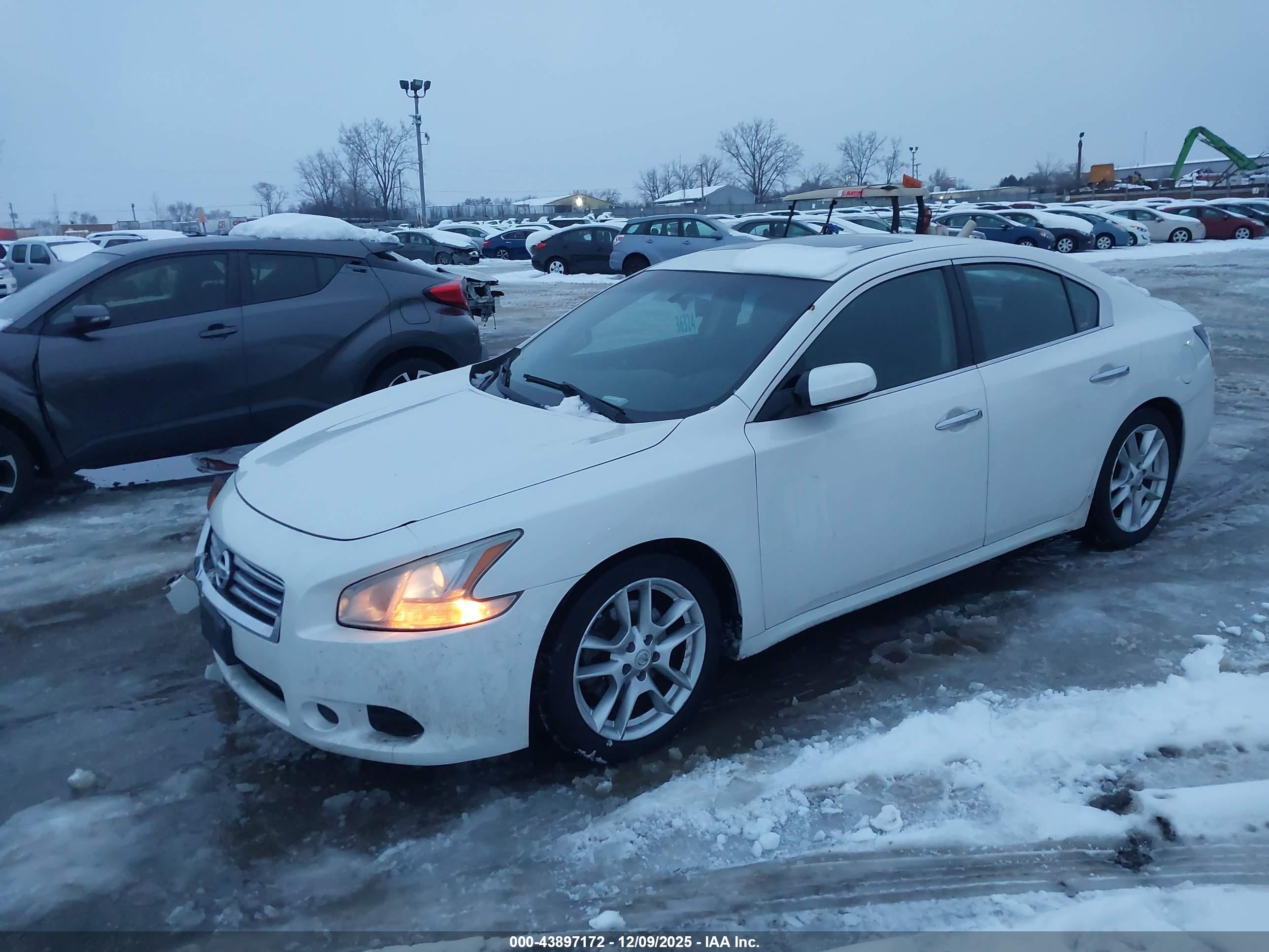 NISSAN MAXIMA image 2