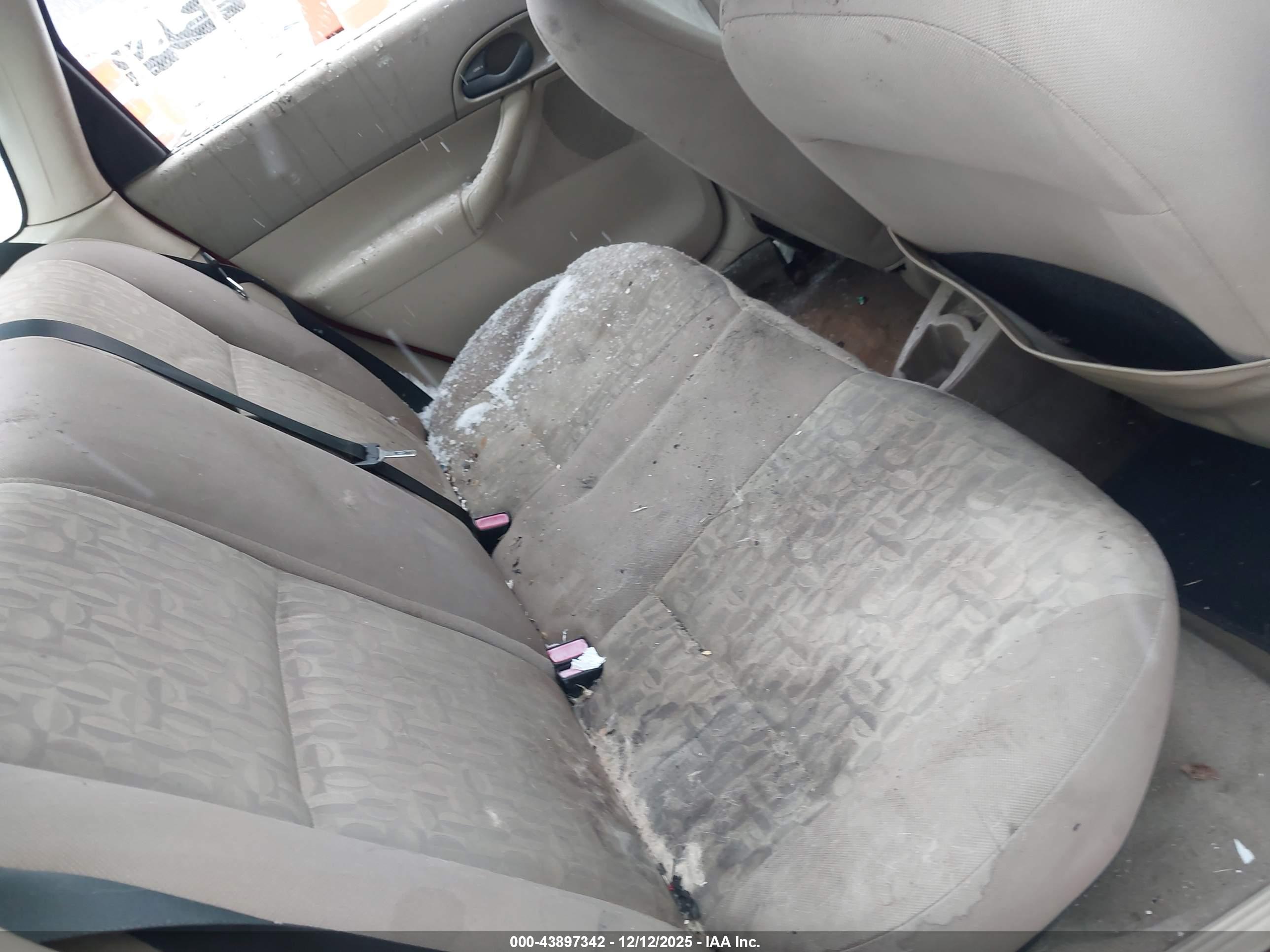 FORD FOCUS image 8