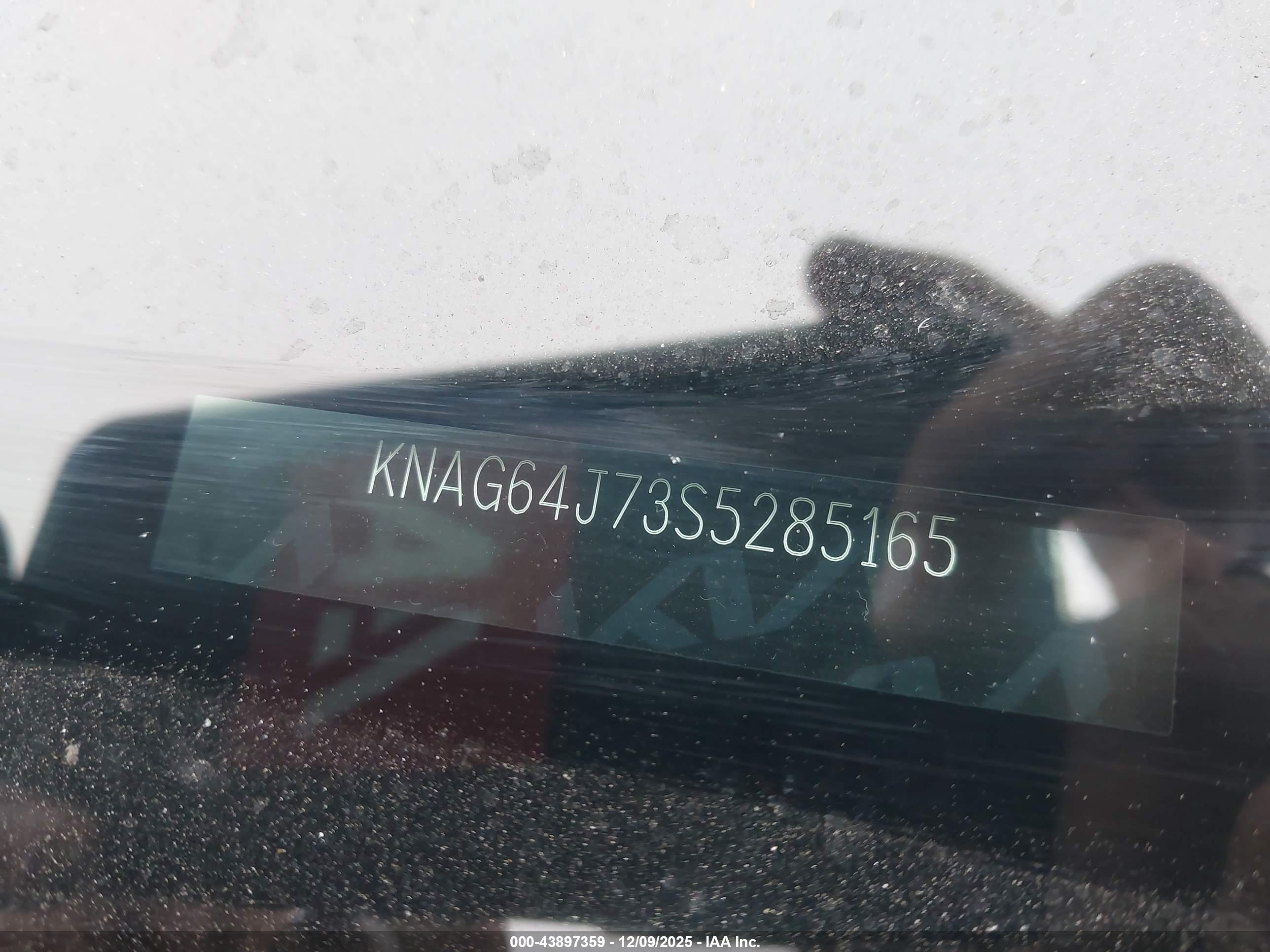 KIA K5 image 9