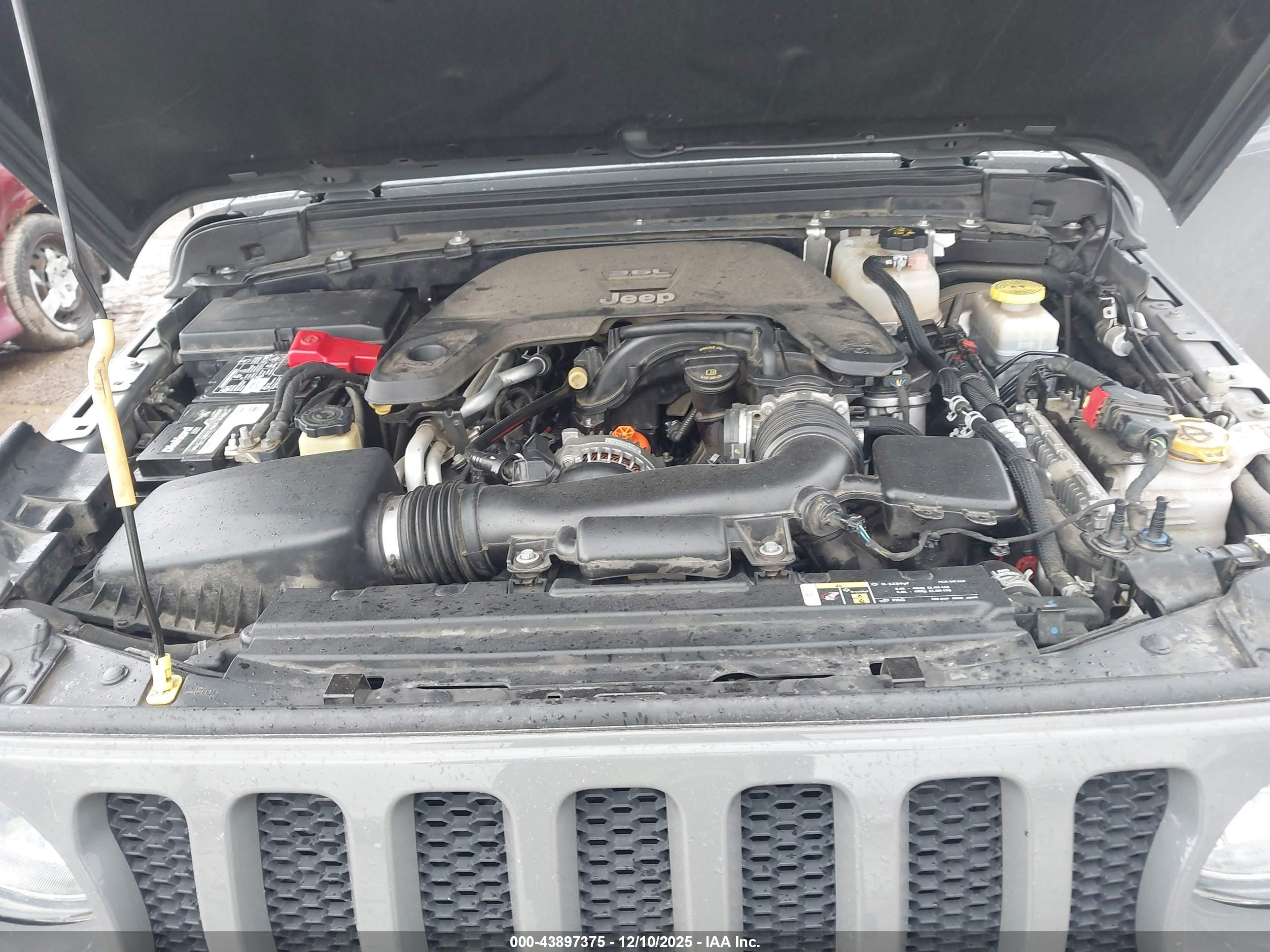 JEEP WRANGLER image 10