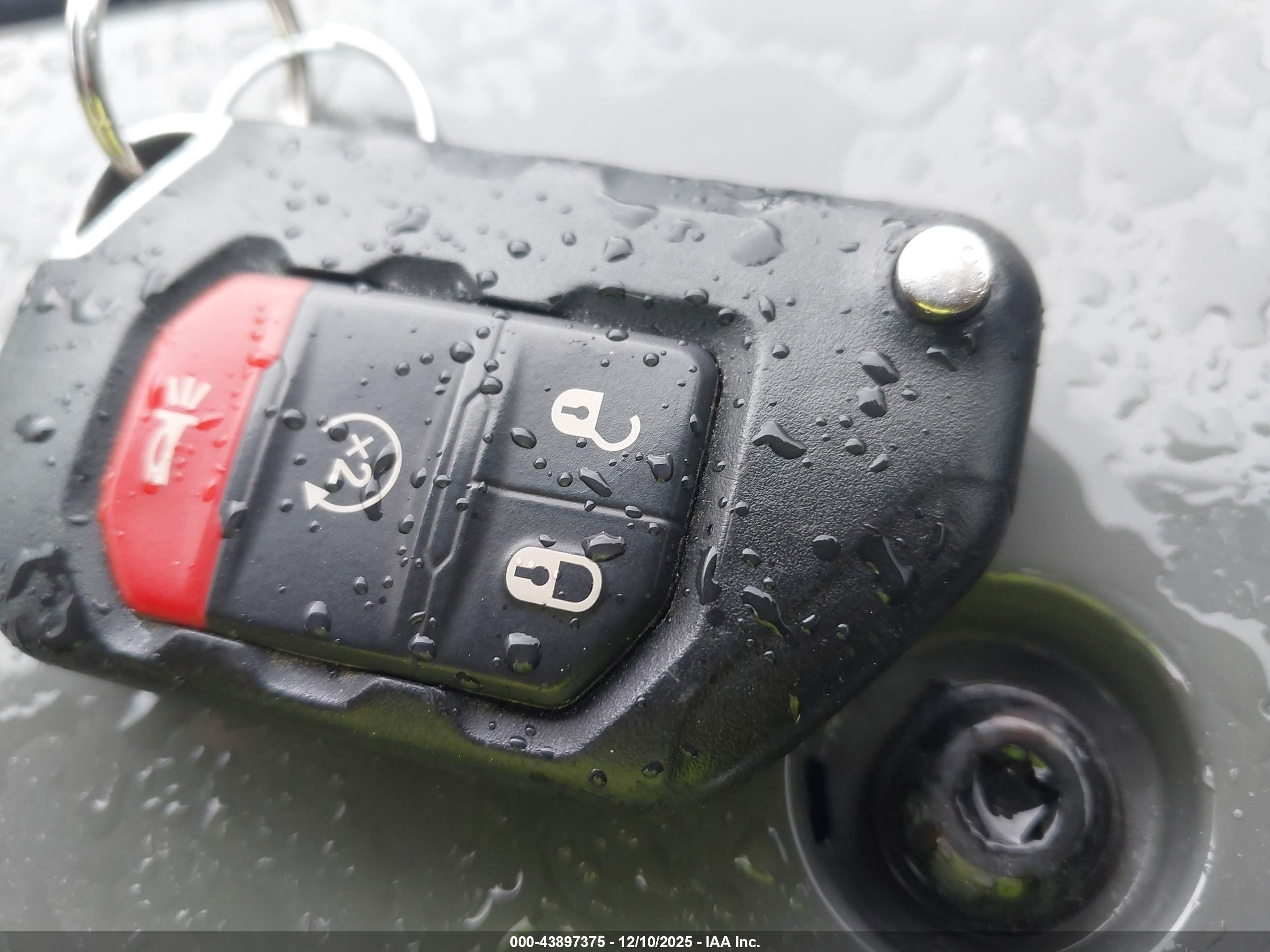 JEEP WRANGLER image 11