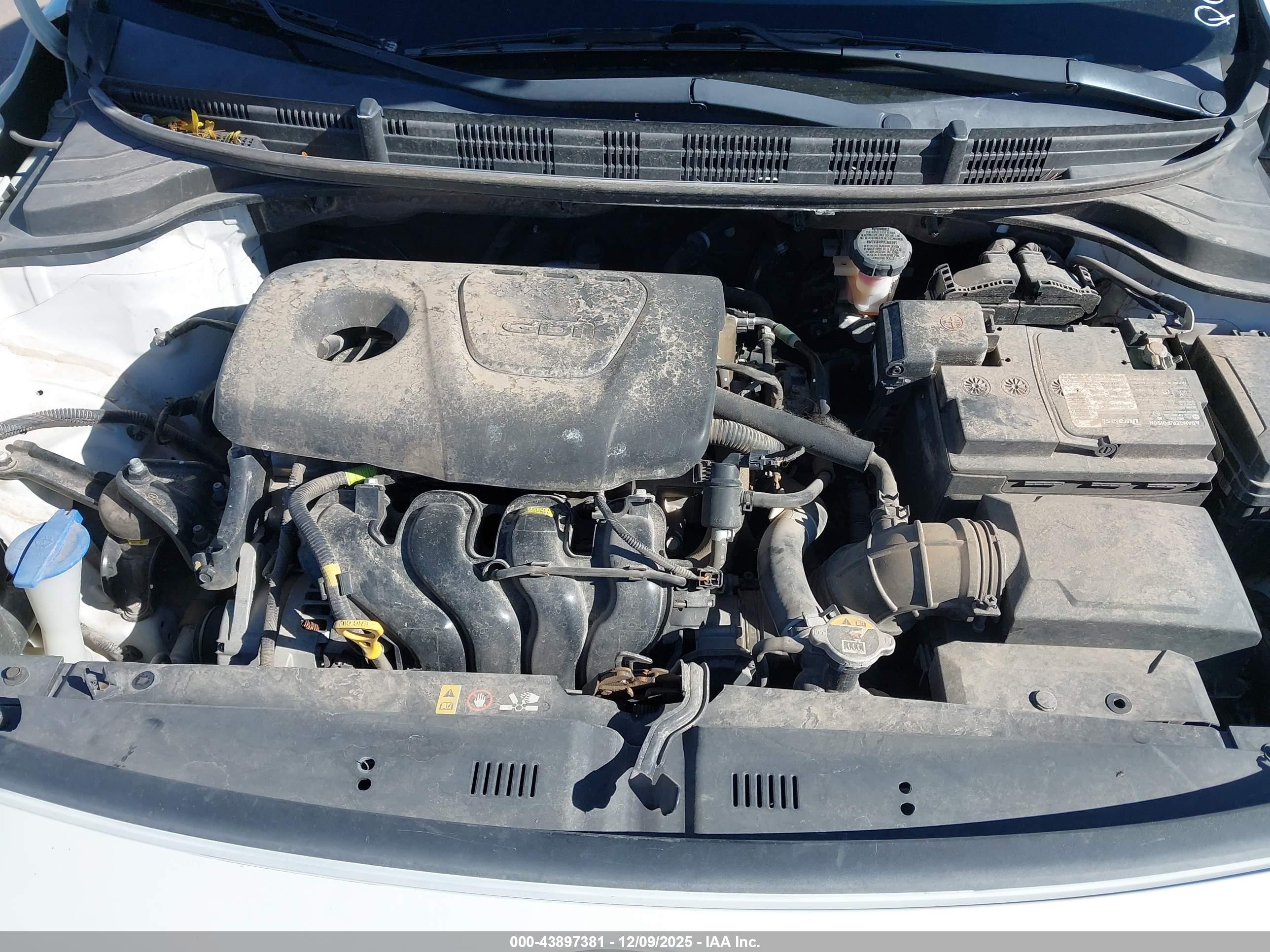 KIA RIO image 10