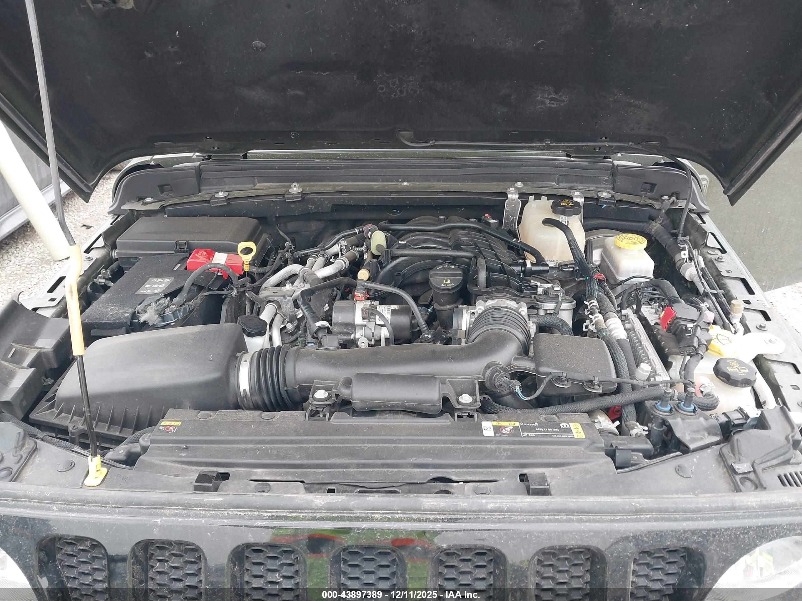 JEEP WRANGLER image 10
