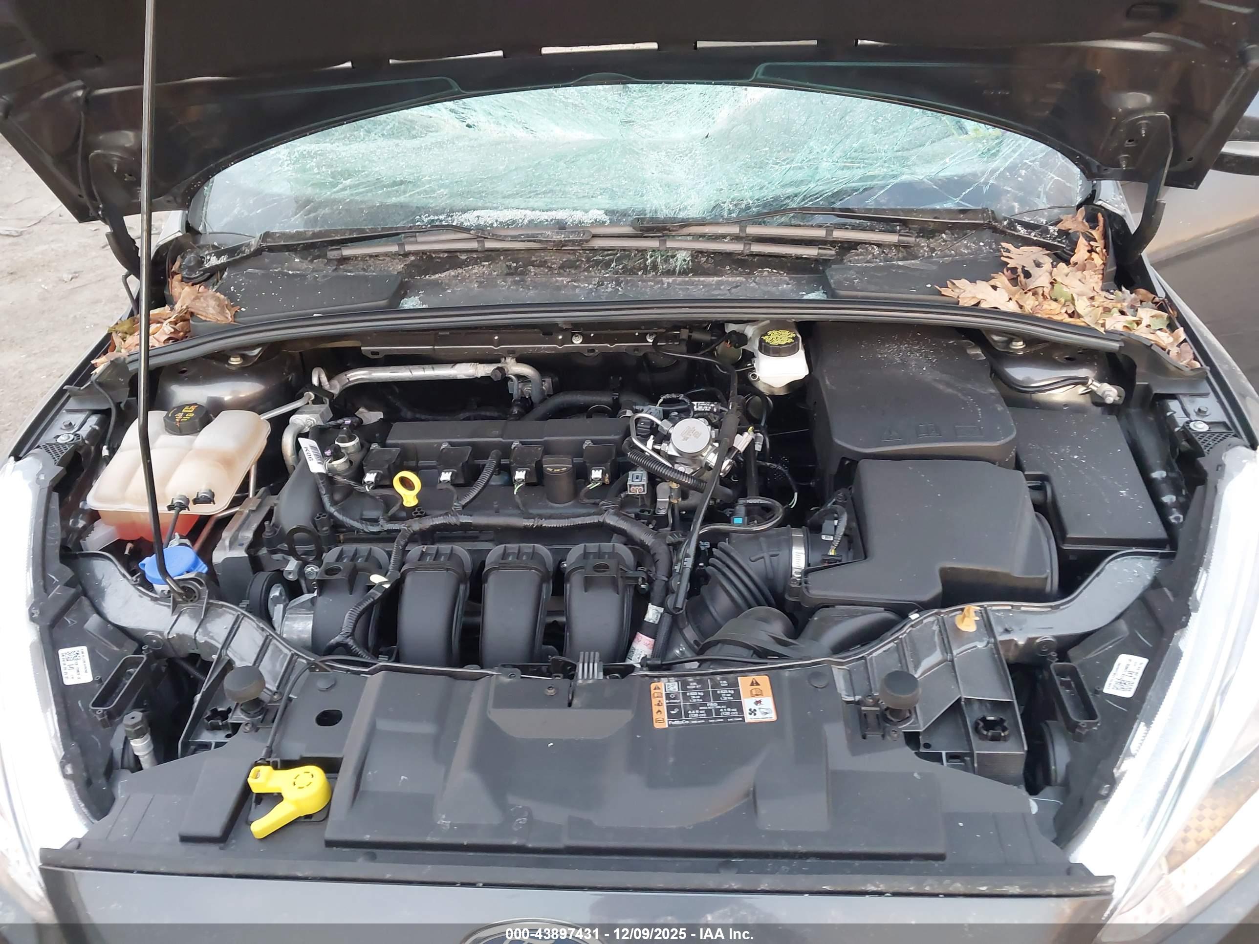FORD FOCUS image 10