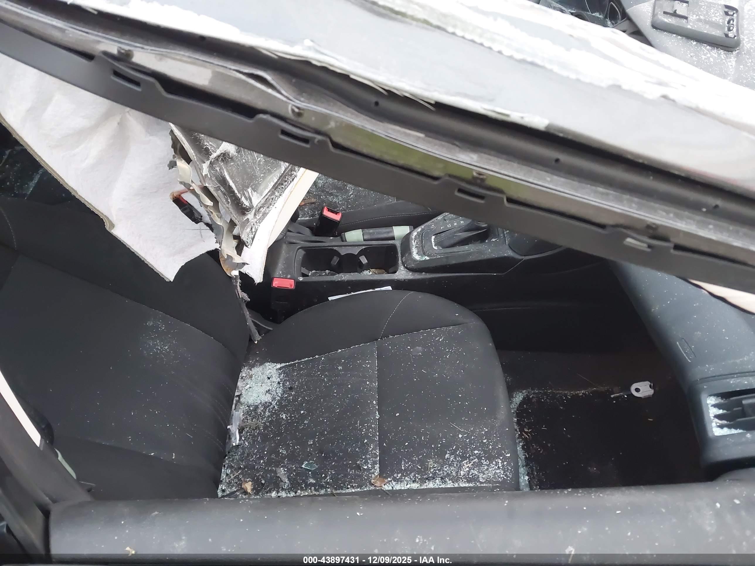 FORD FOCUS image 5