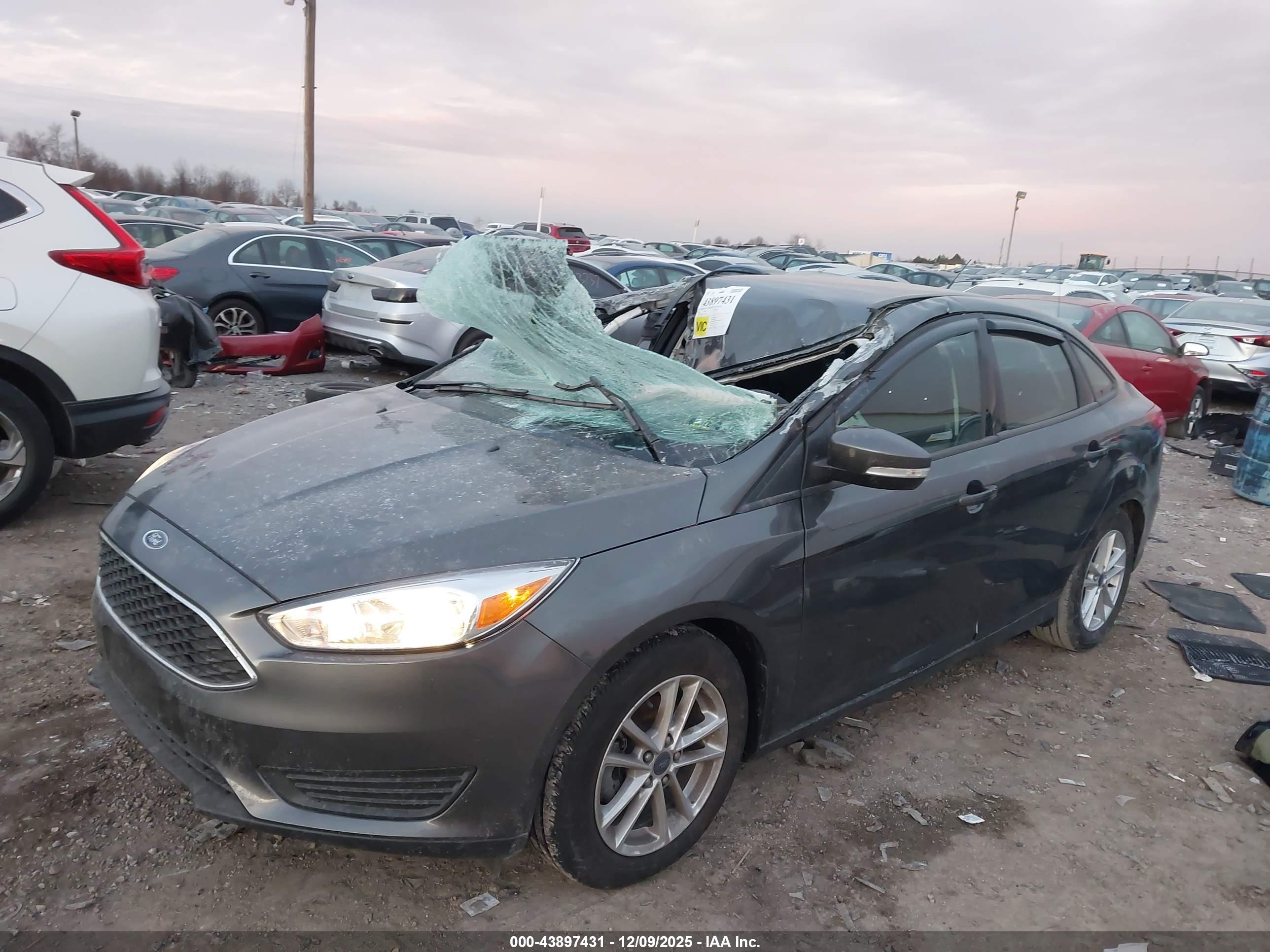 FORD FOCUS image 6