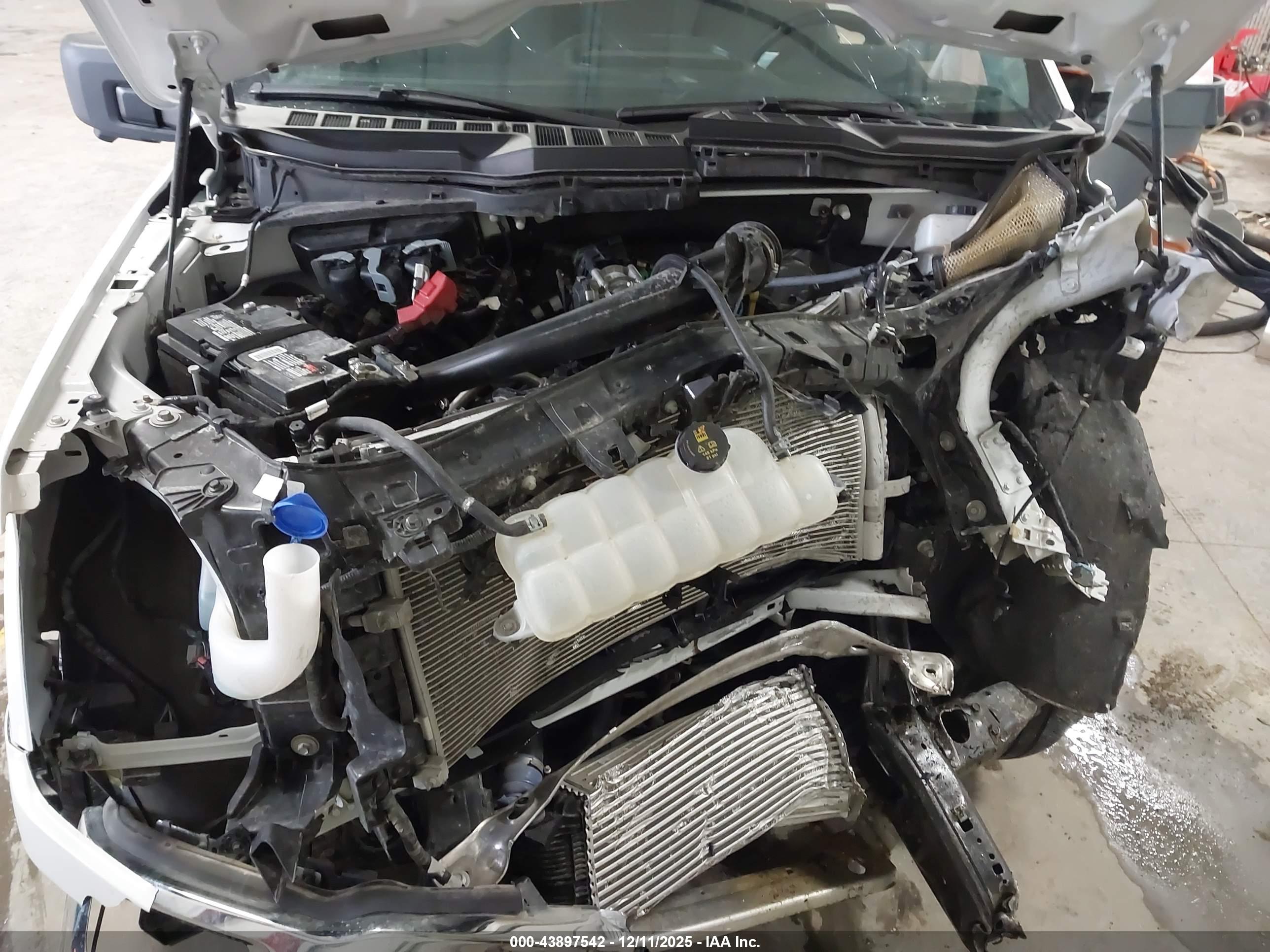 FORD F-150 image 10
