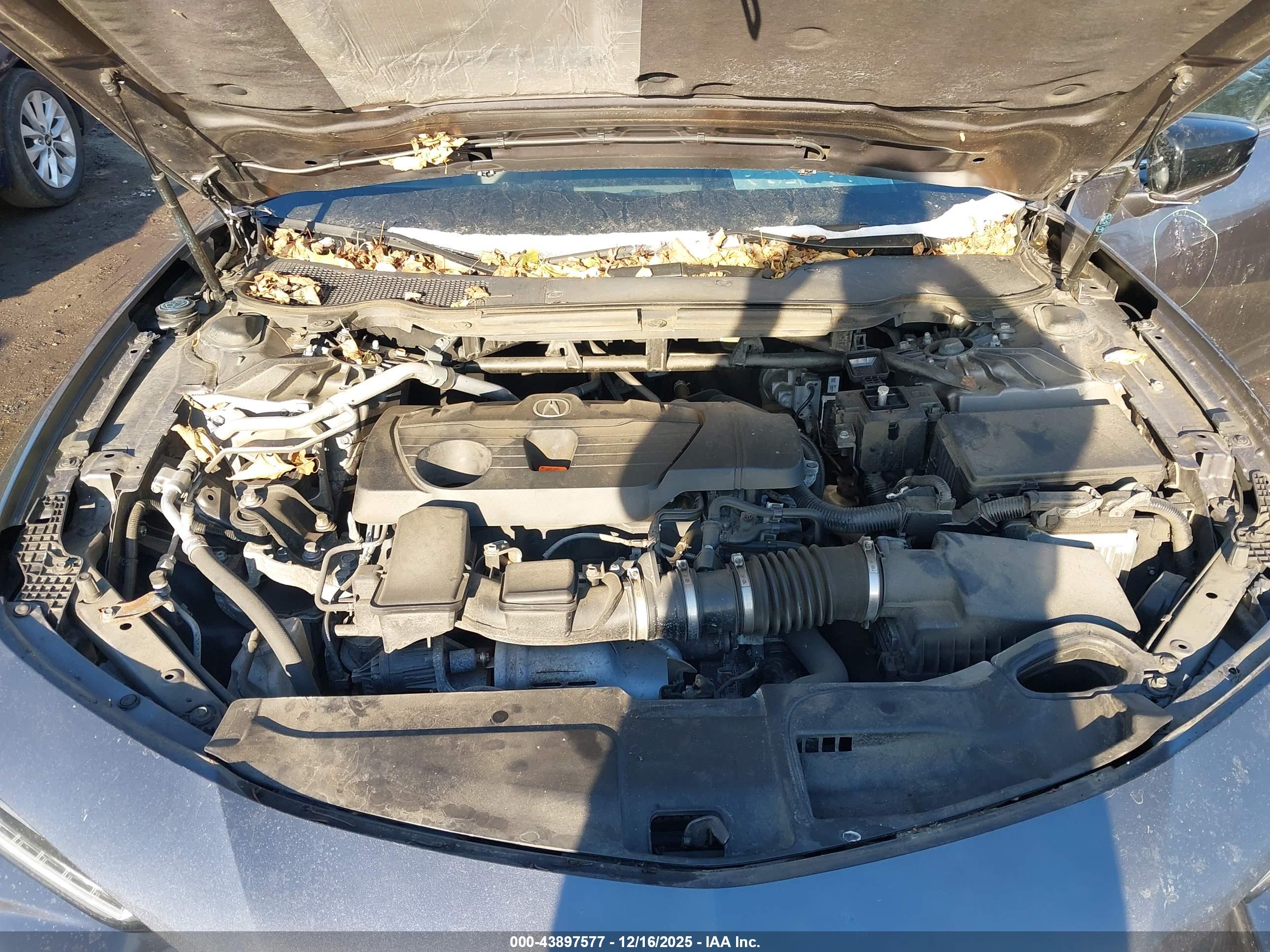 ACURA TLX image 10